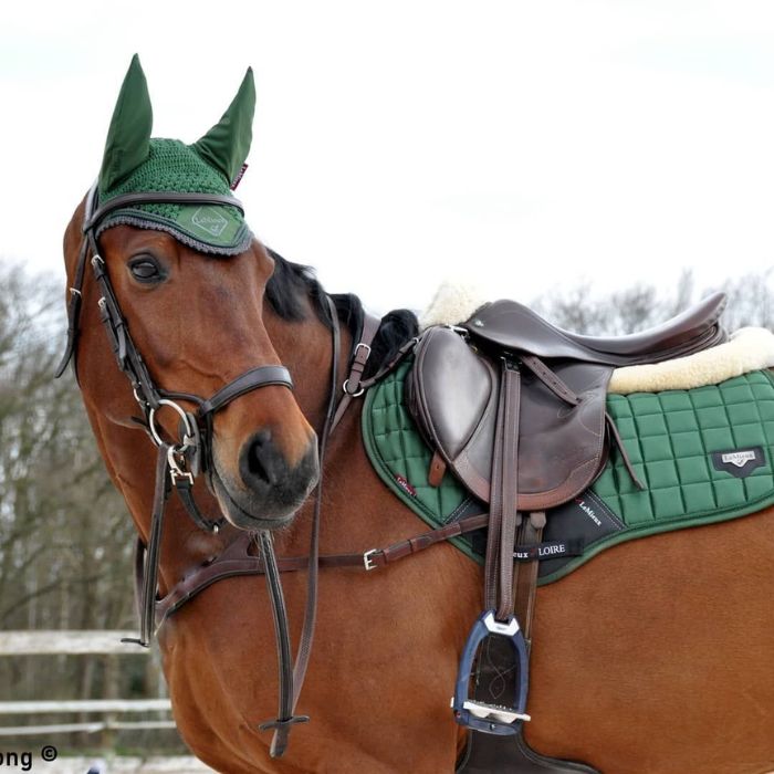 horse and tack