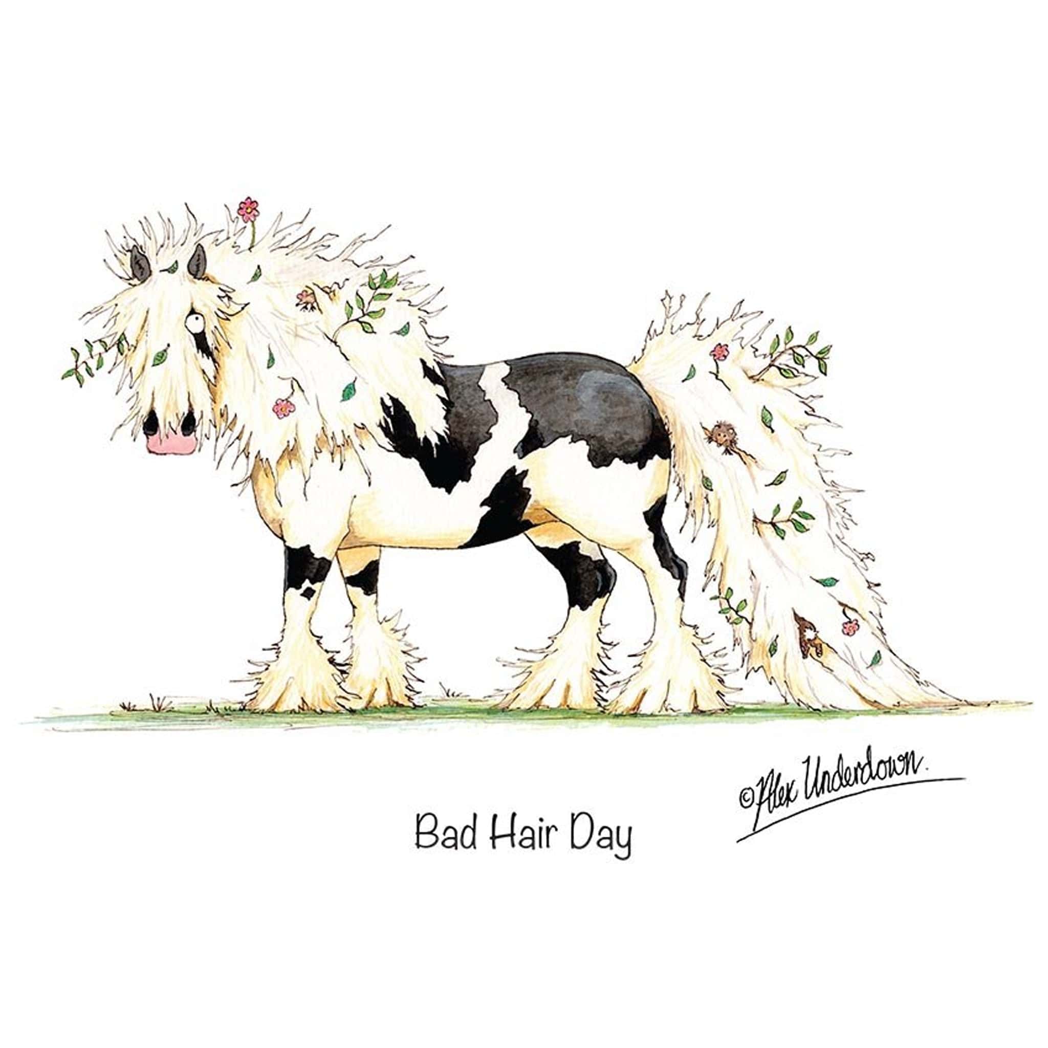 Bad Hair Day Greeting Card ALUNBADHGC01