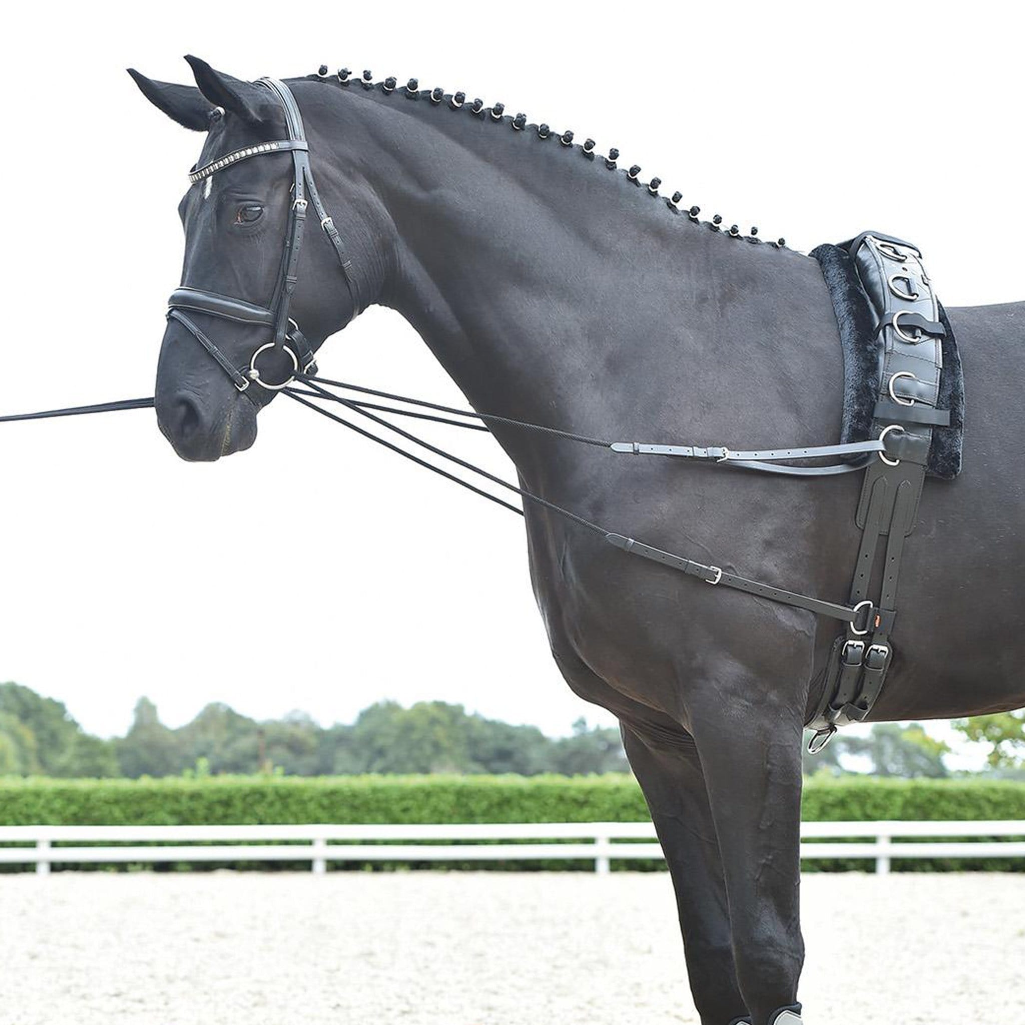 BUSSE Sac à Bottes RIO PLUS PRO - Boutique Equus Vitalis