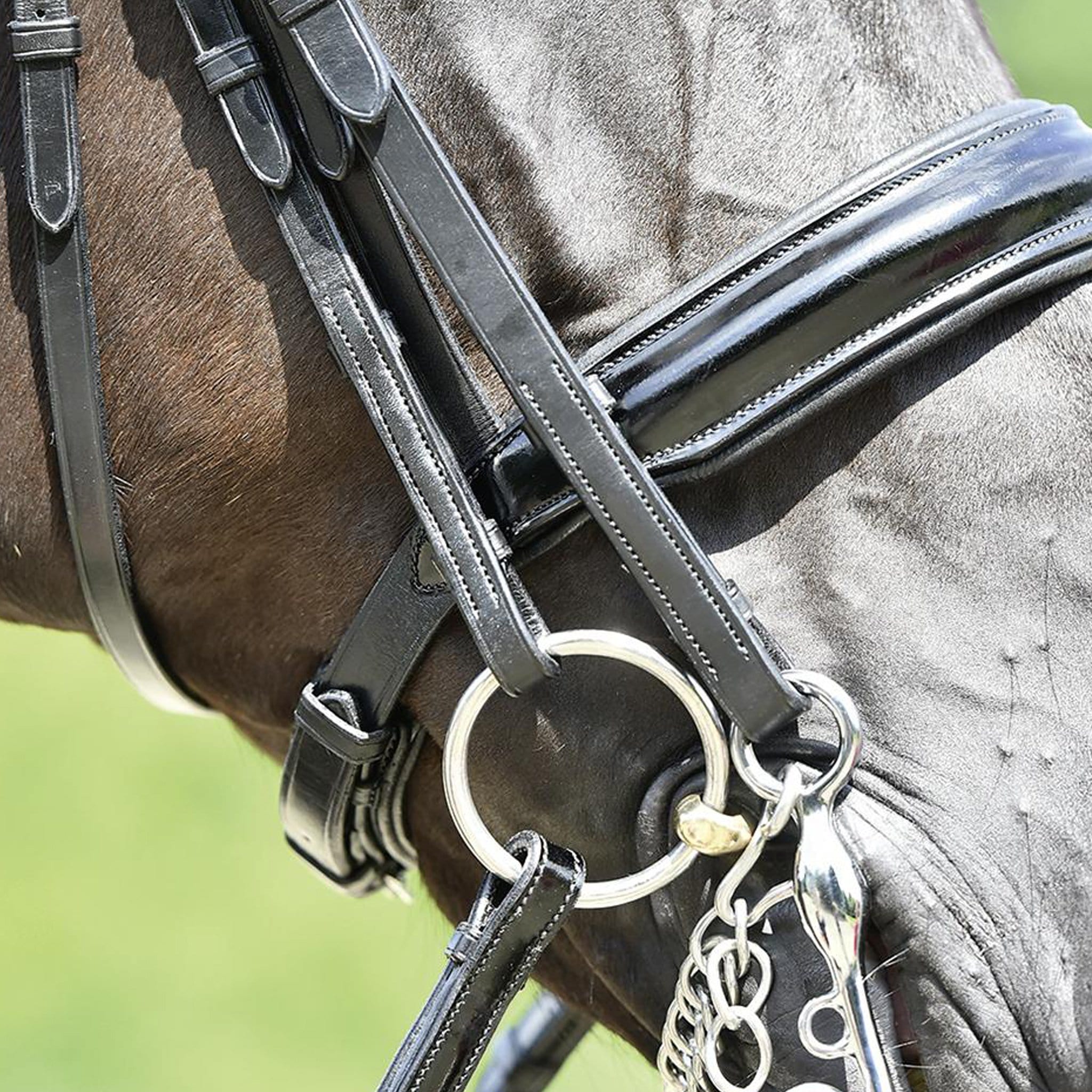 Busse Massa Double Bridle Noseband Close Up 120906