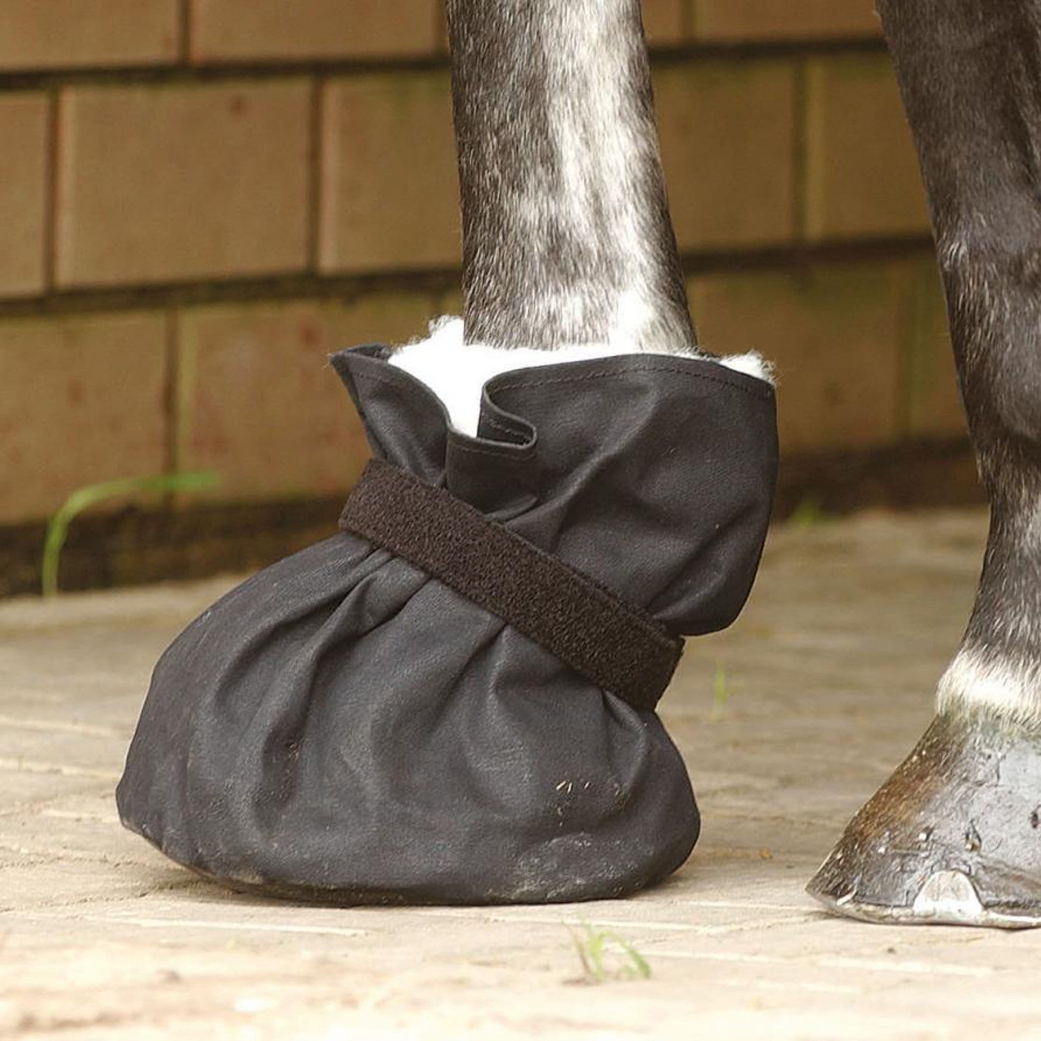 Poultice 2025 boot turnout