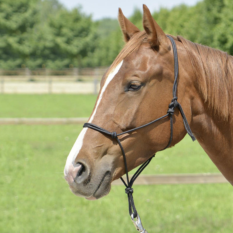 Busse Smooth Rope Halter