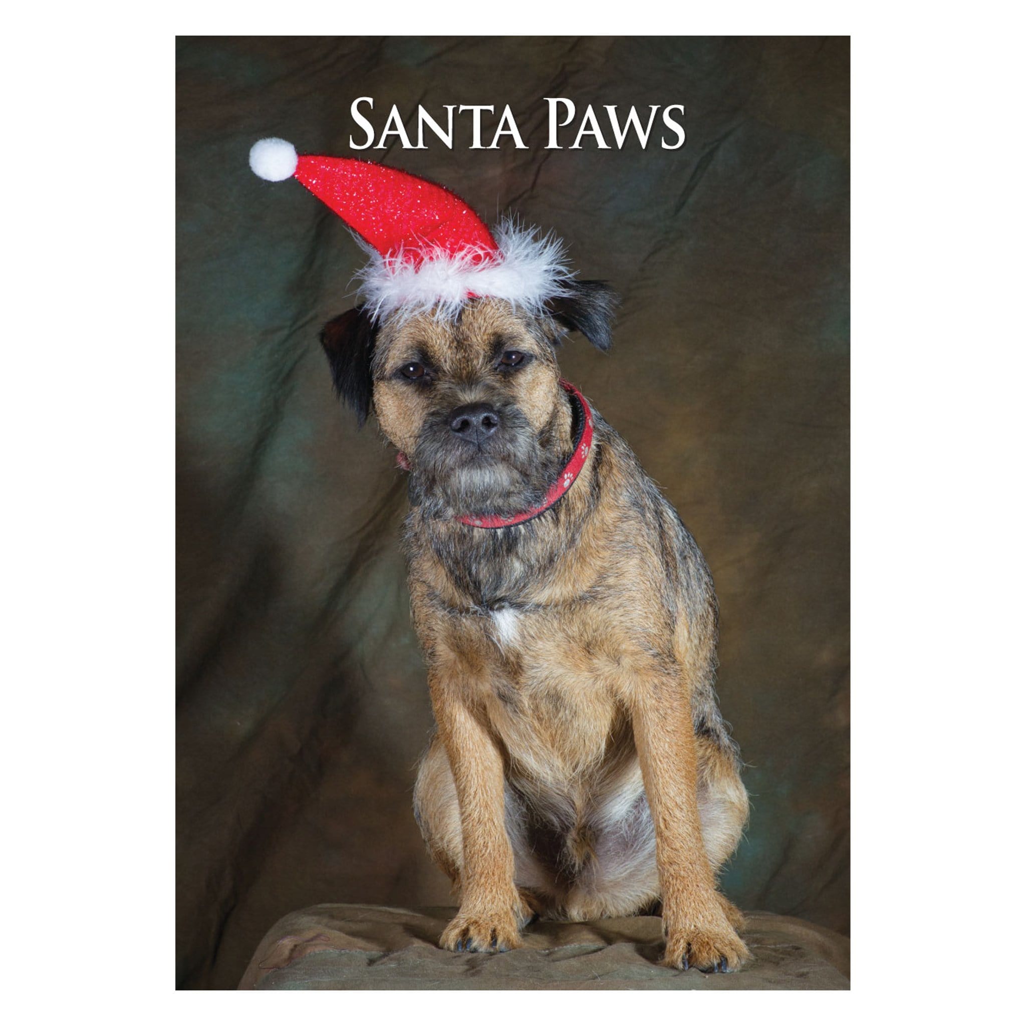 CSP Border Terrier Christmas Card CHRBOR01