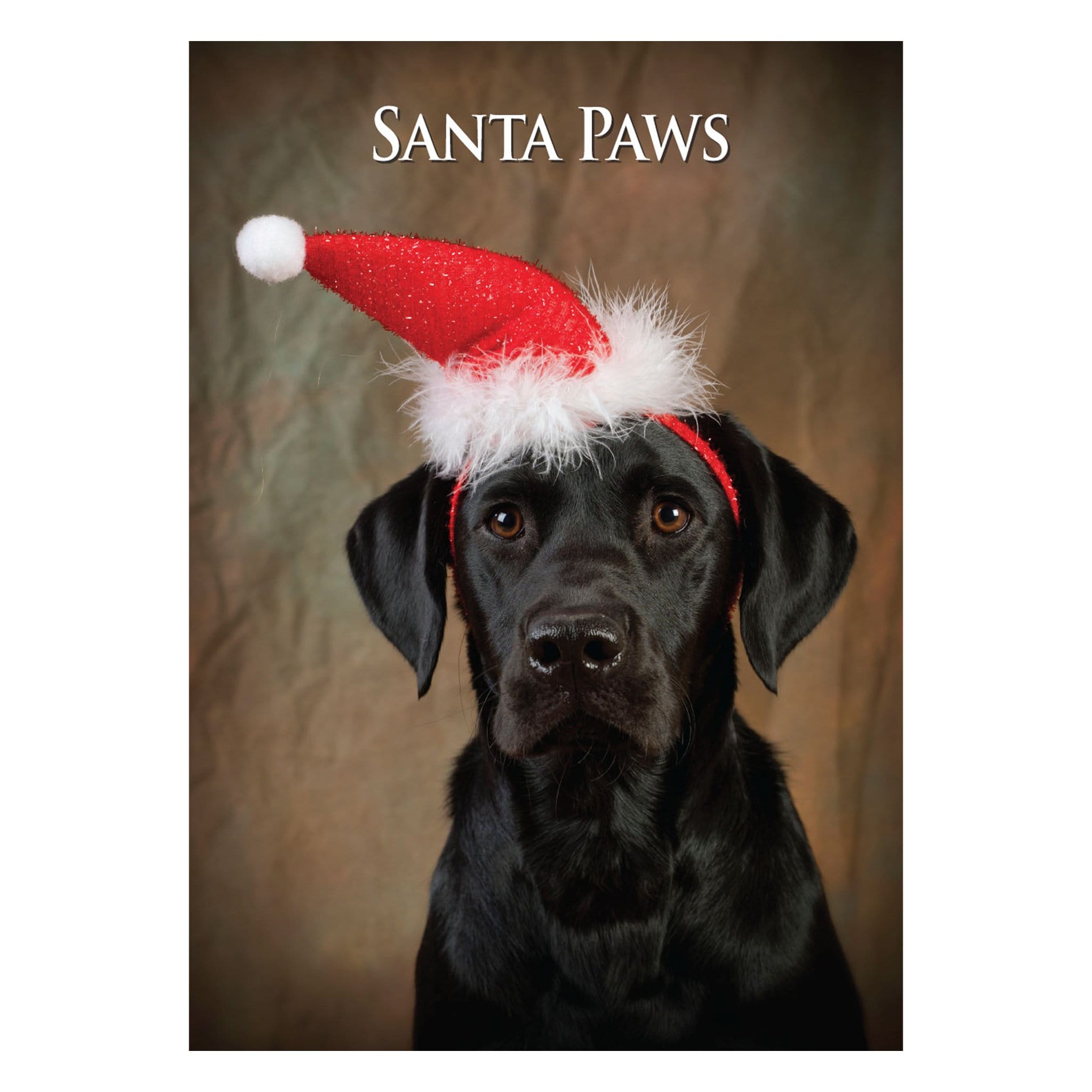 Charles Sainsbury-Plaice Labrador Christmas Card CHRLAB01