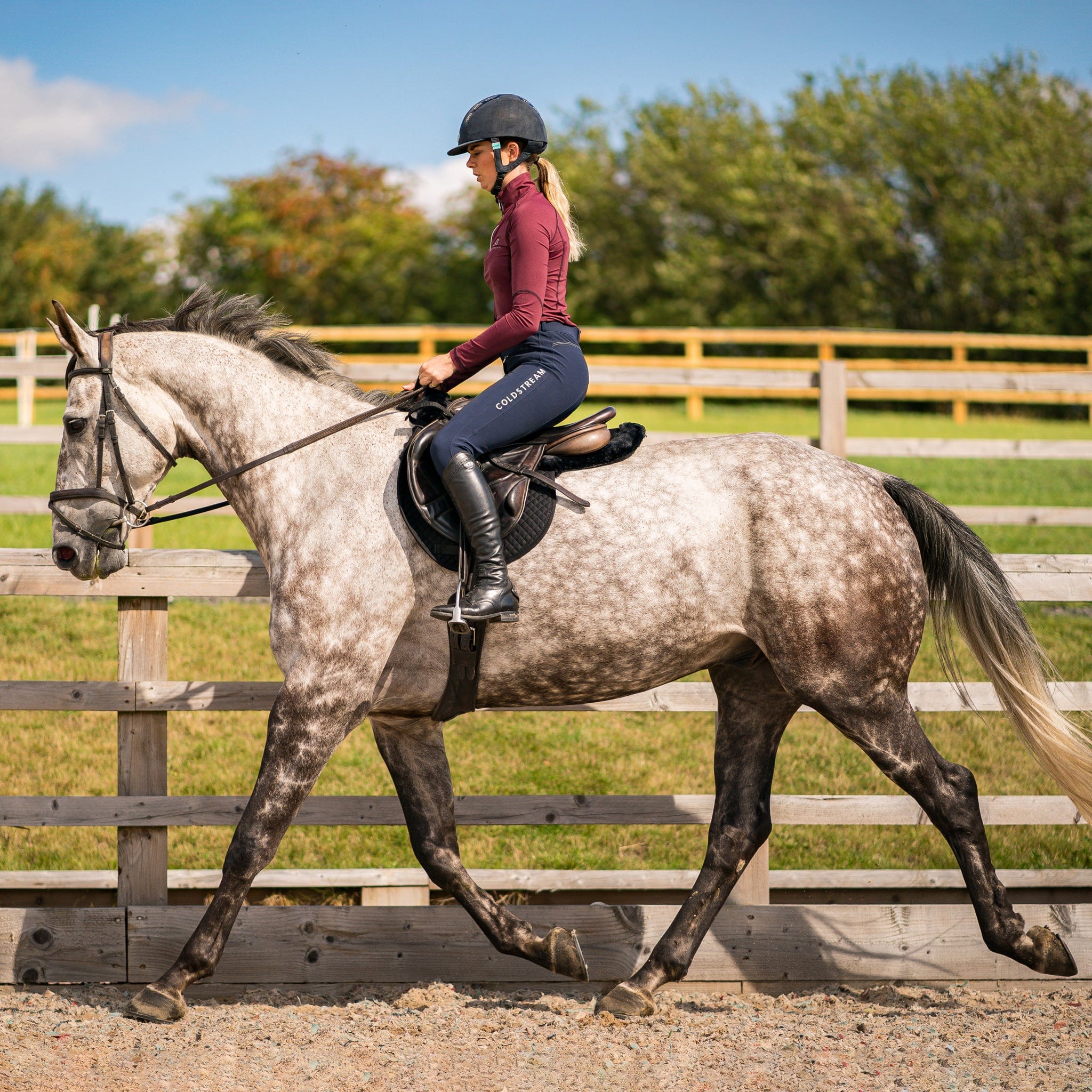 Coldstream Kilham Silicone Full Seat Competition Breeches 24982 Navy On Rider In Trot