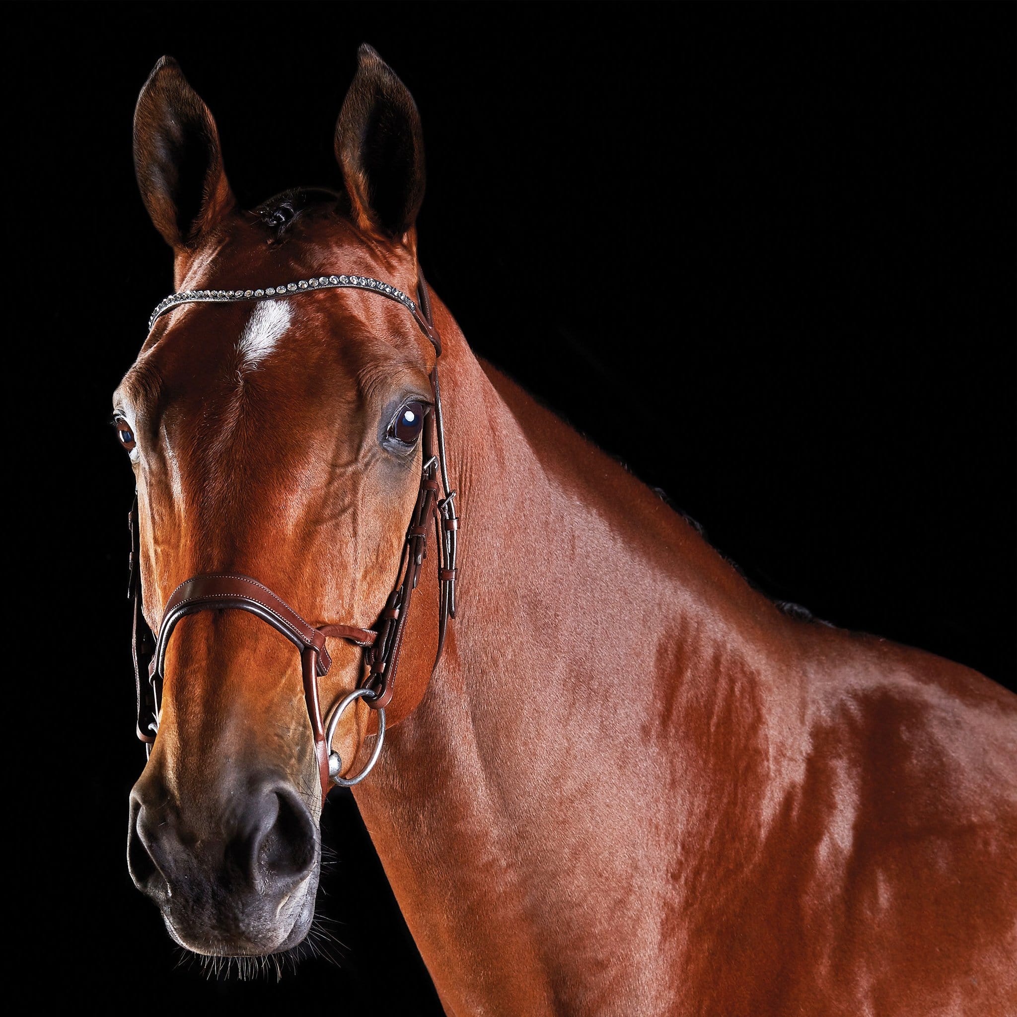 Collegiate Comfitec Crystal Bridle - Warmblood · Brown