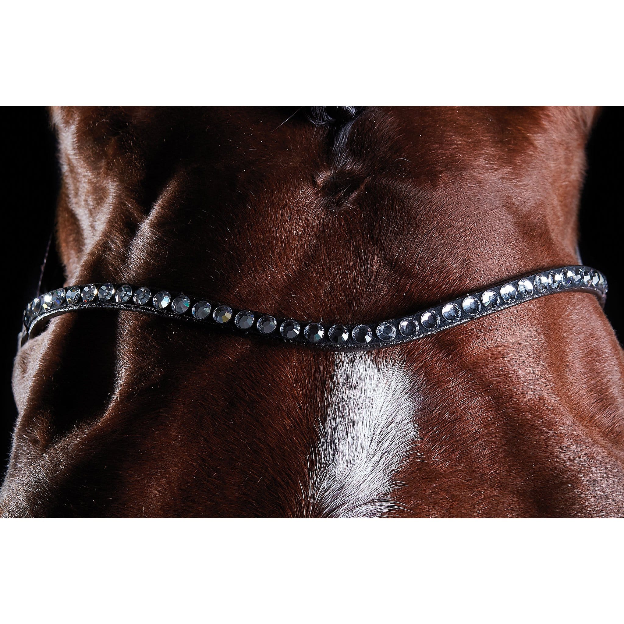 Collegiate ComFiTec Crystal Bridle