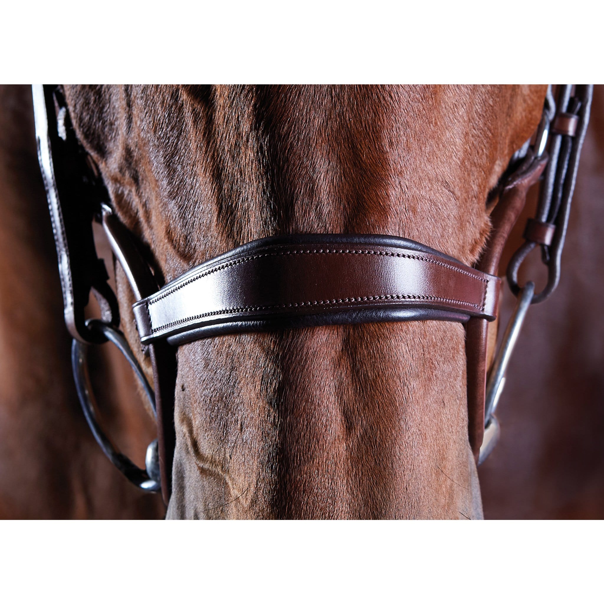 Collegiate ComFiTec Crystal Bridle