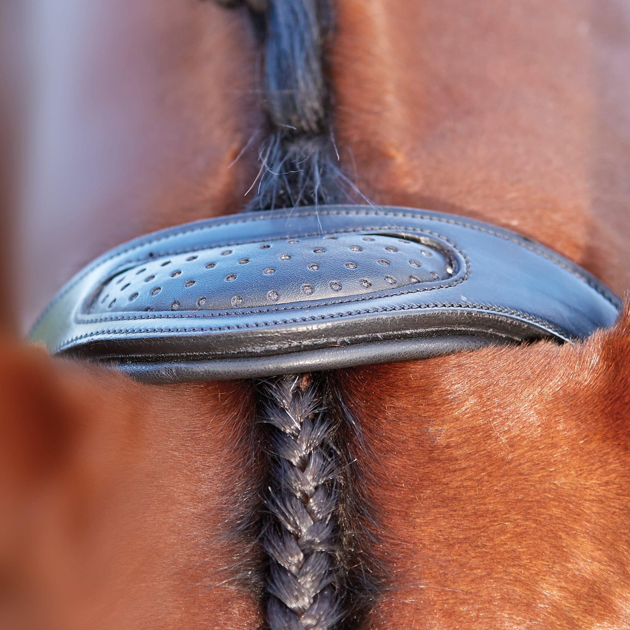 Collegiate ComFiTec Crystal Bridle