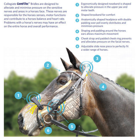 Collegiate ComFiTec Technical Info