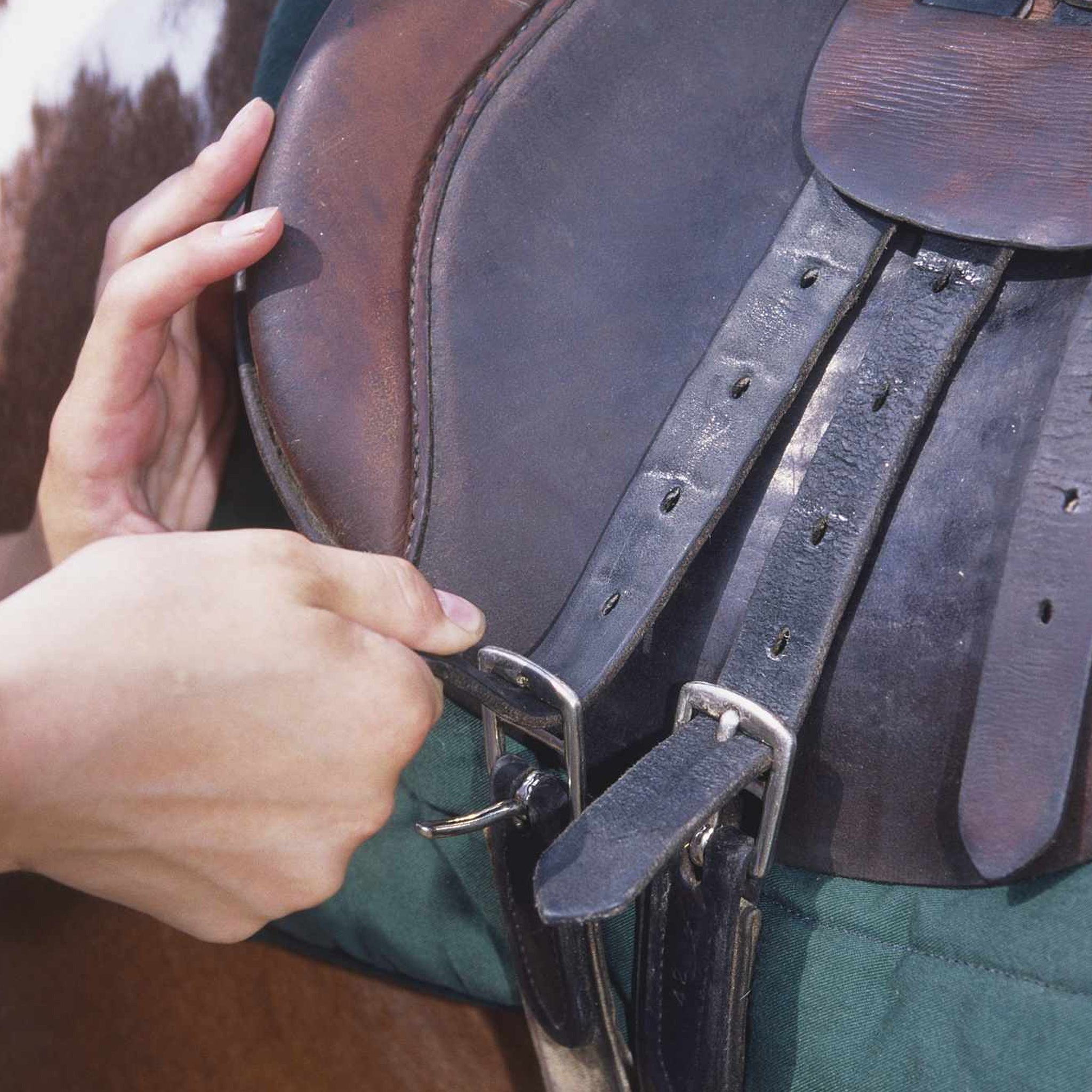 Doing up a Horse Girth 