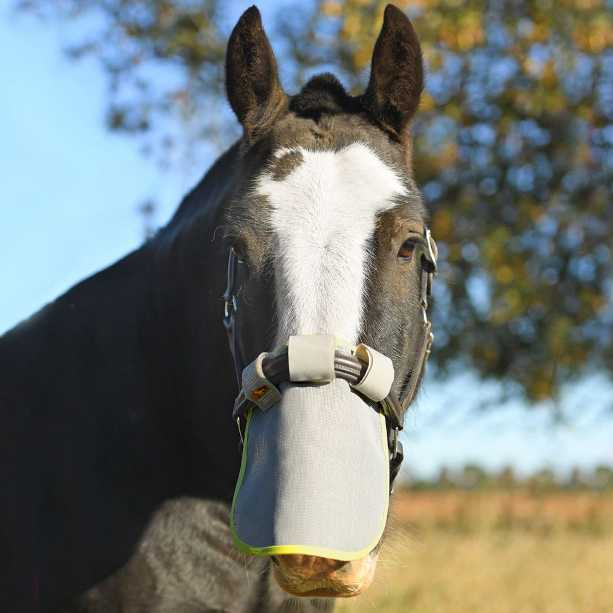 Equilibrium Field Relief Muzzle Protector