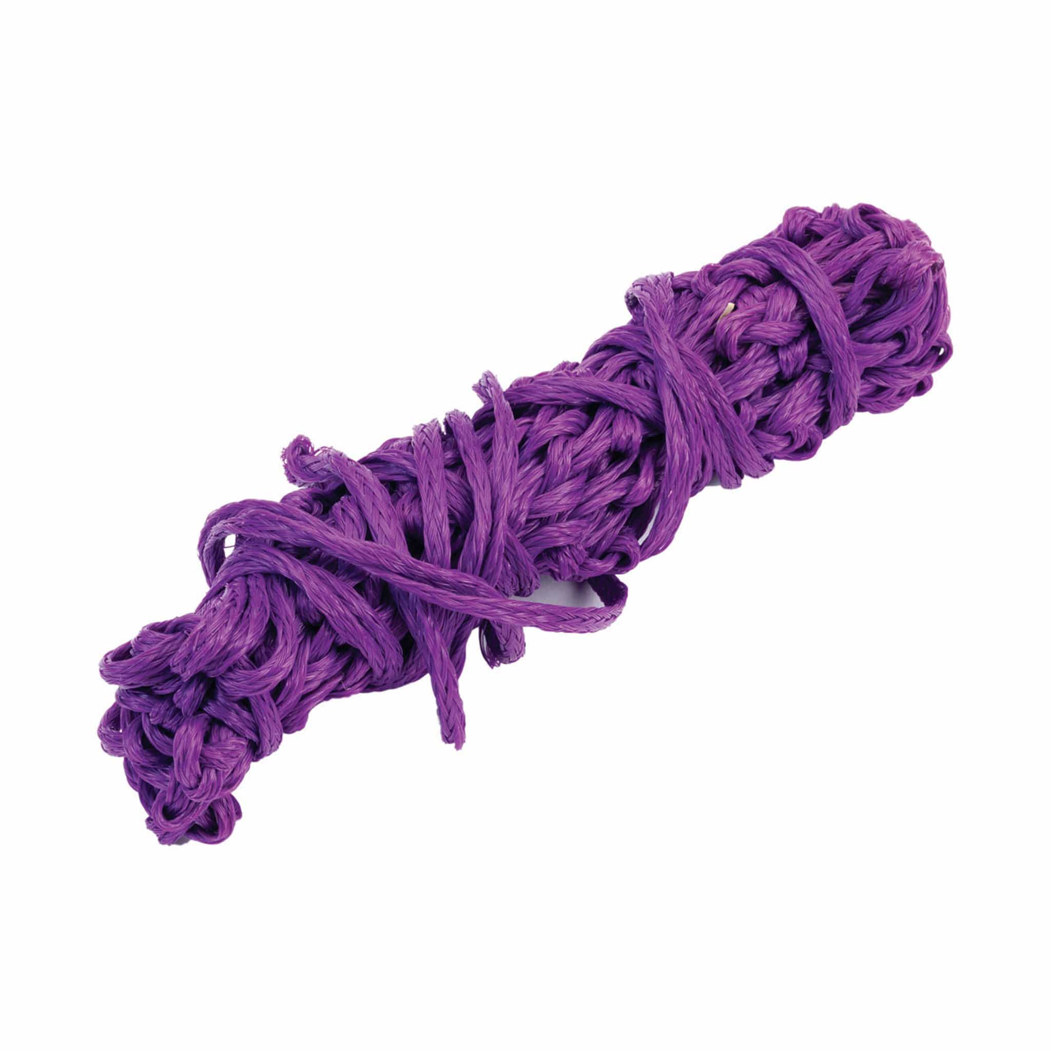 Equilibrium Unisex Munch Net - Purple Small