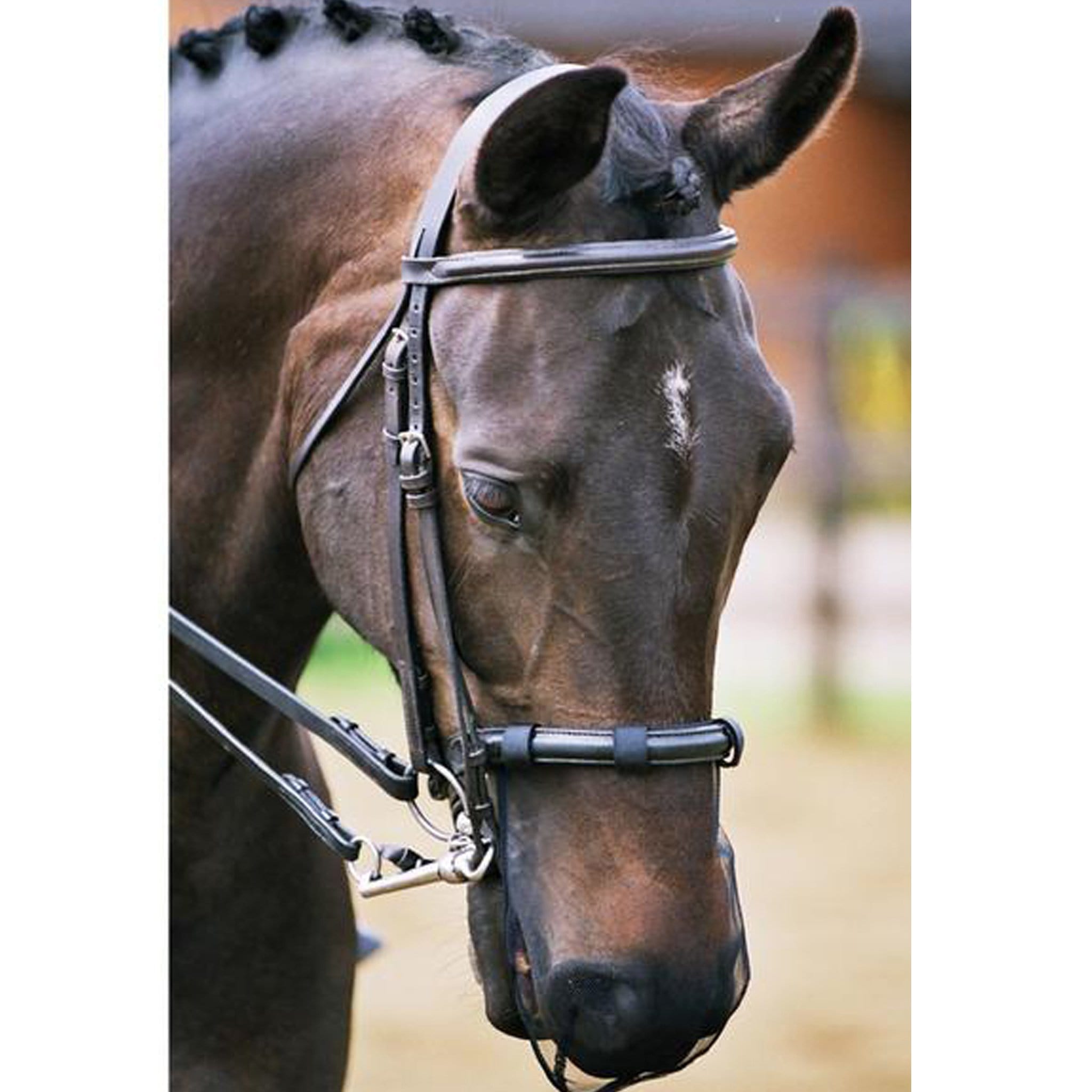 Equilibrium Net Relief Cavesson Muzzle Nose Net