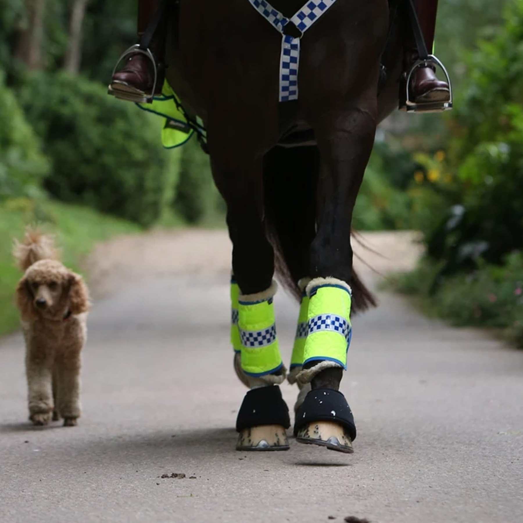 Equisafety Polite Hi Viz Leg Boots FREE UK DELIVERY EQUUS