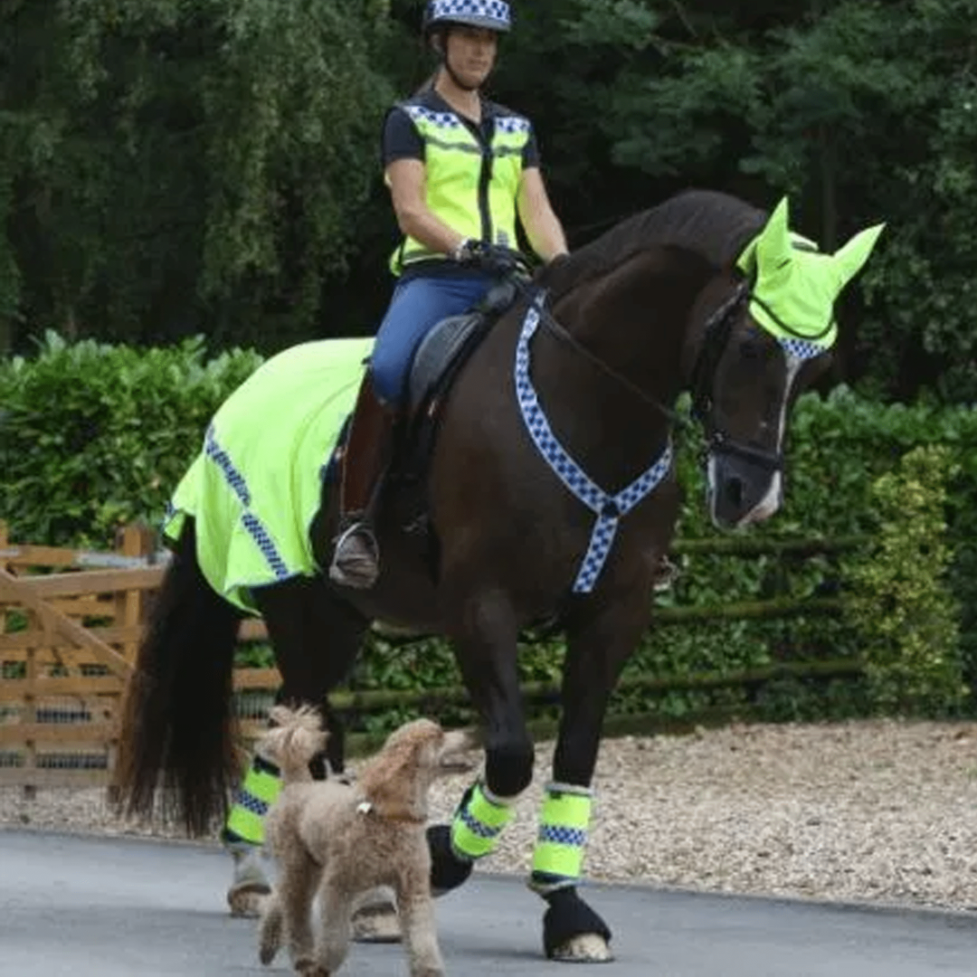 Equisafety Polite Hi Viz Leg Boots FREE UK DELIVERY EQUUS