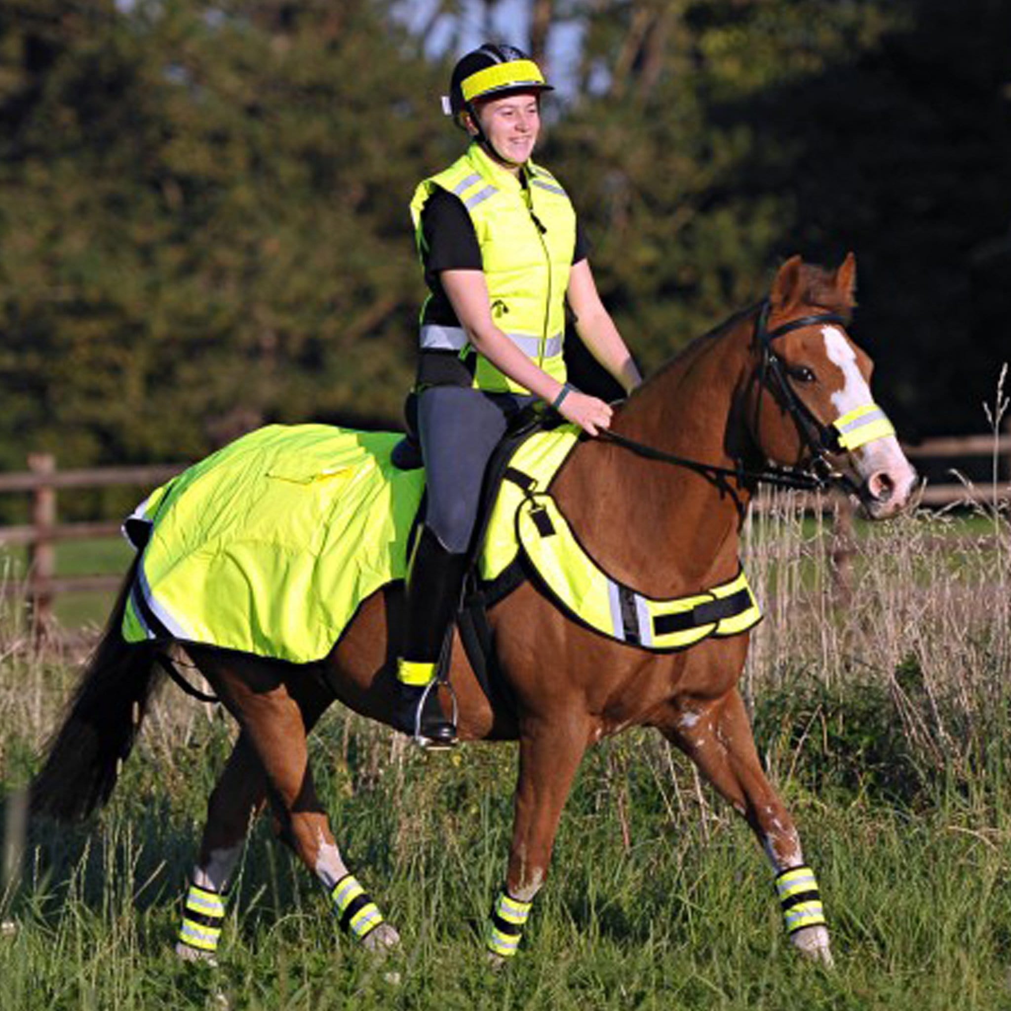Equisafety Hi Viz Winter Wrap Around Sheet