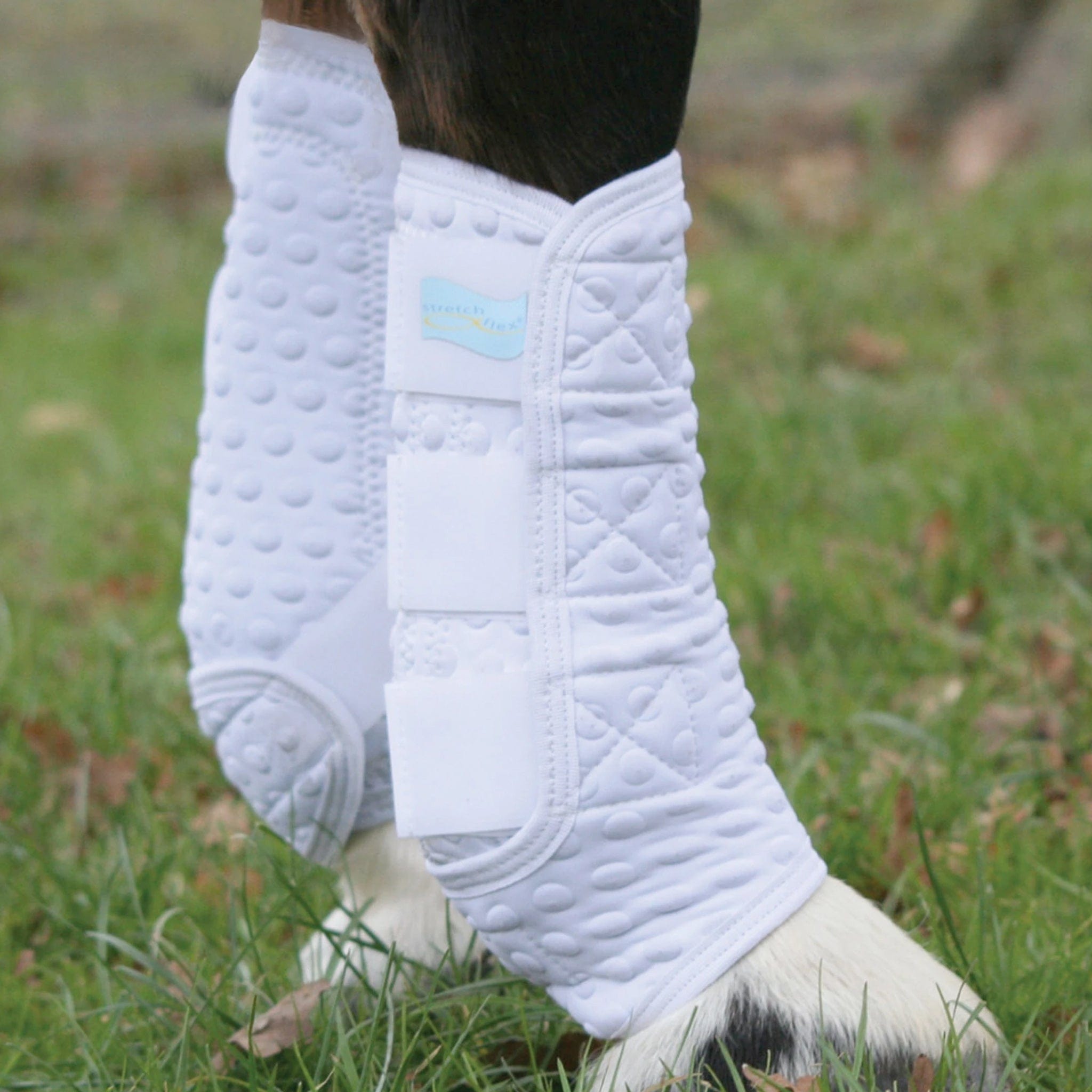 Equilibrium Stretch & Flex Flatwork Wraps – Dressage Collections