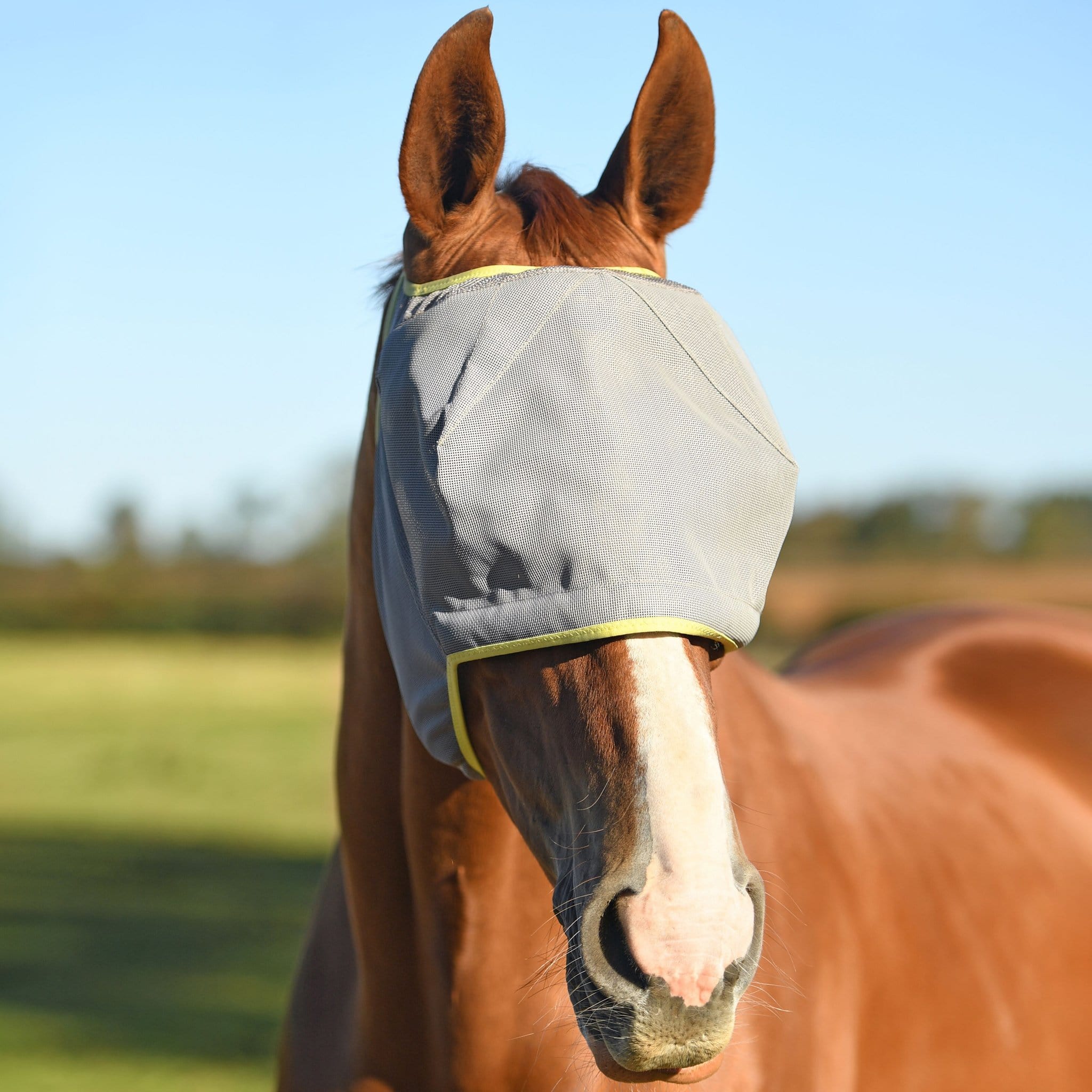 Equilibrium Field Relief Midi Fly Mask without Ears