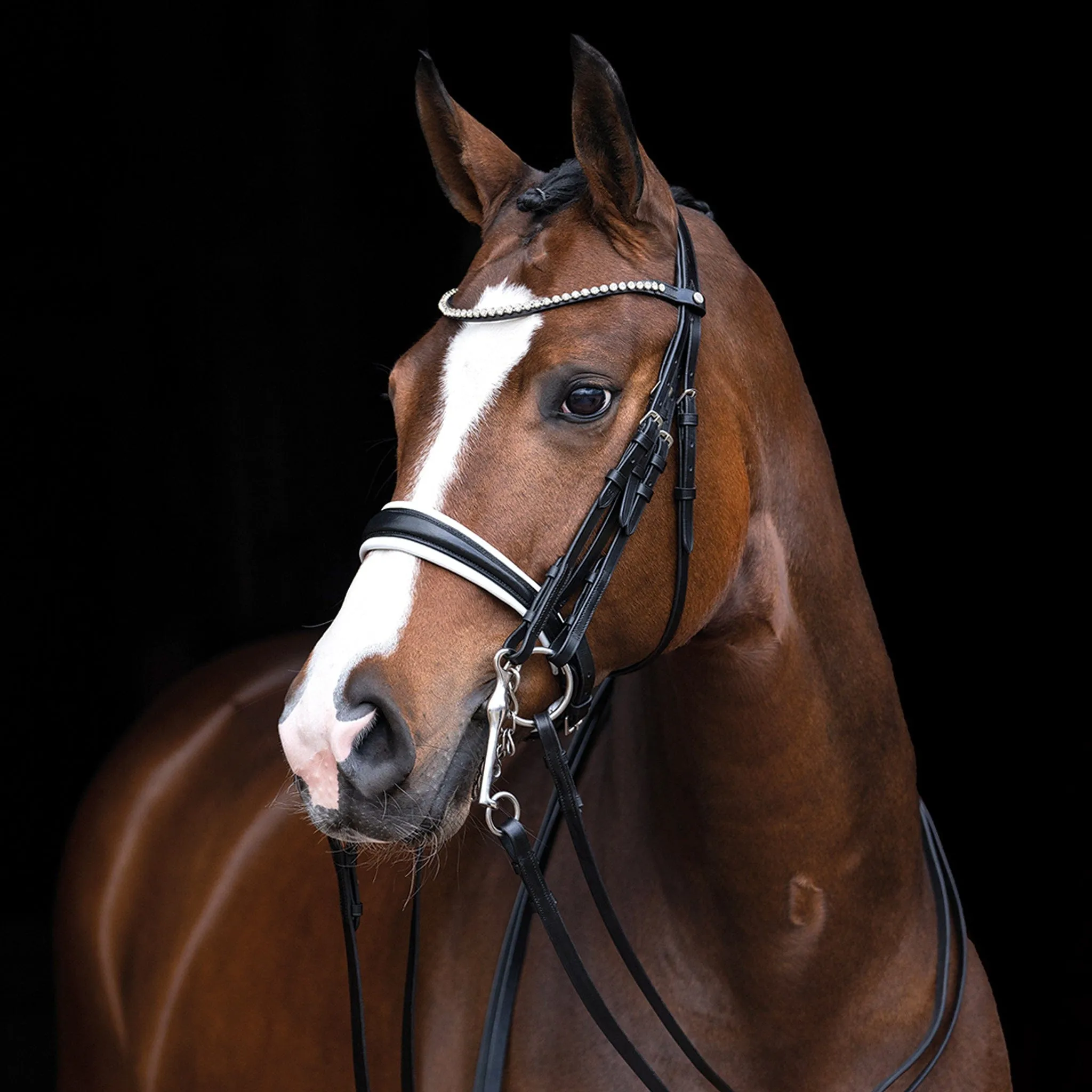 {"default":"Double Bridles"}