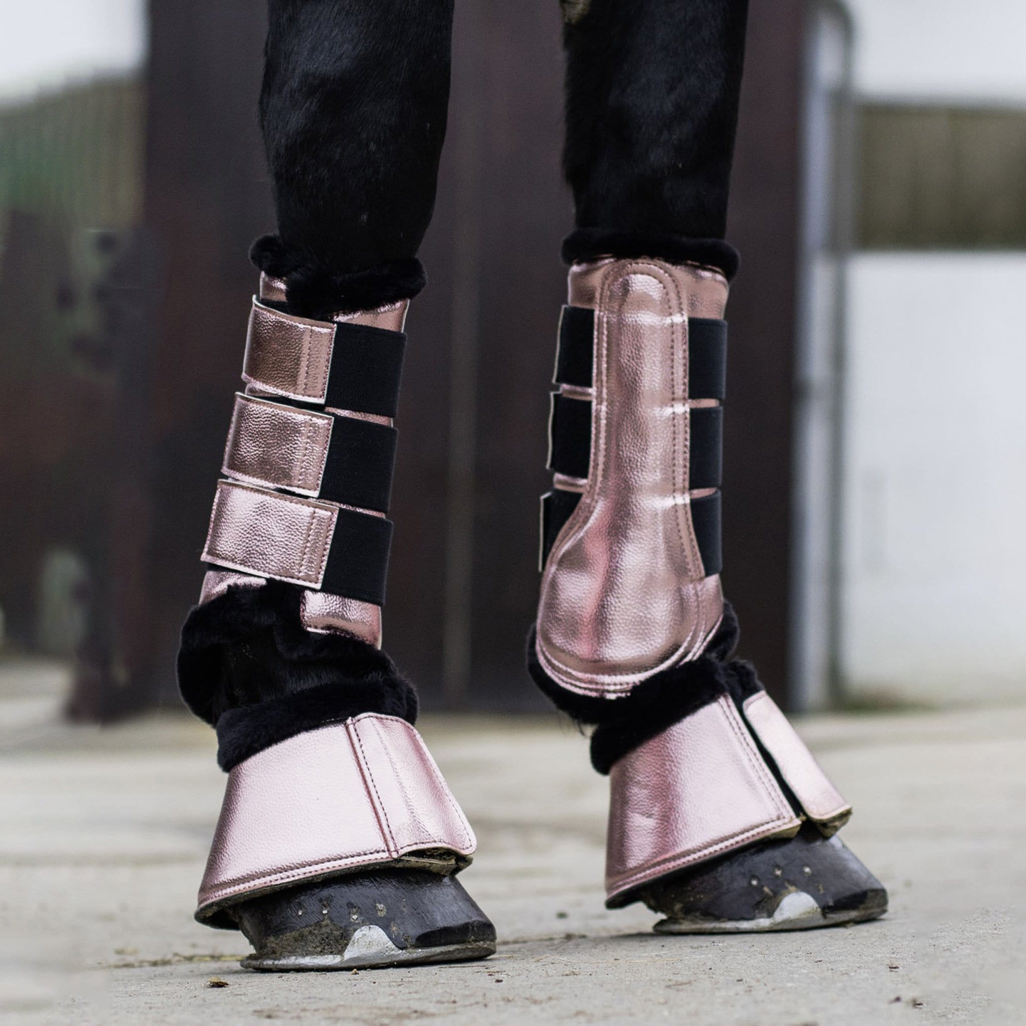 HKM Metallic Dressage Protection Boots Size Cob Rose Gold