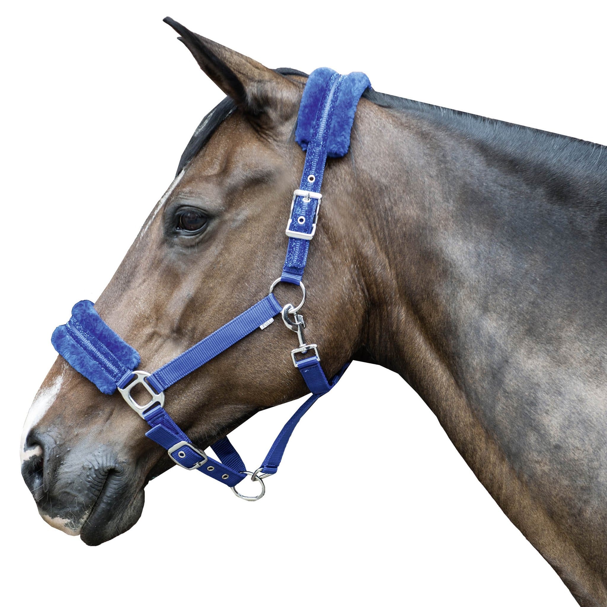 HKM Nylon Glitter Headcollar worn by a Horse 8876