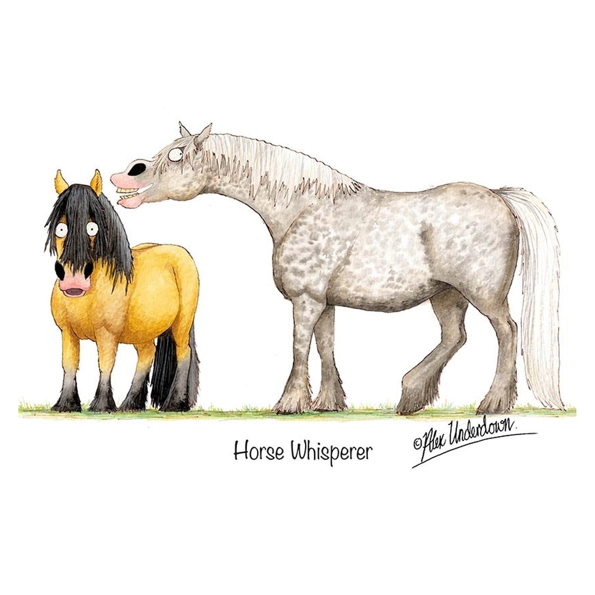 Horse whisperer Greeting Card ALUNWHISGC01
