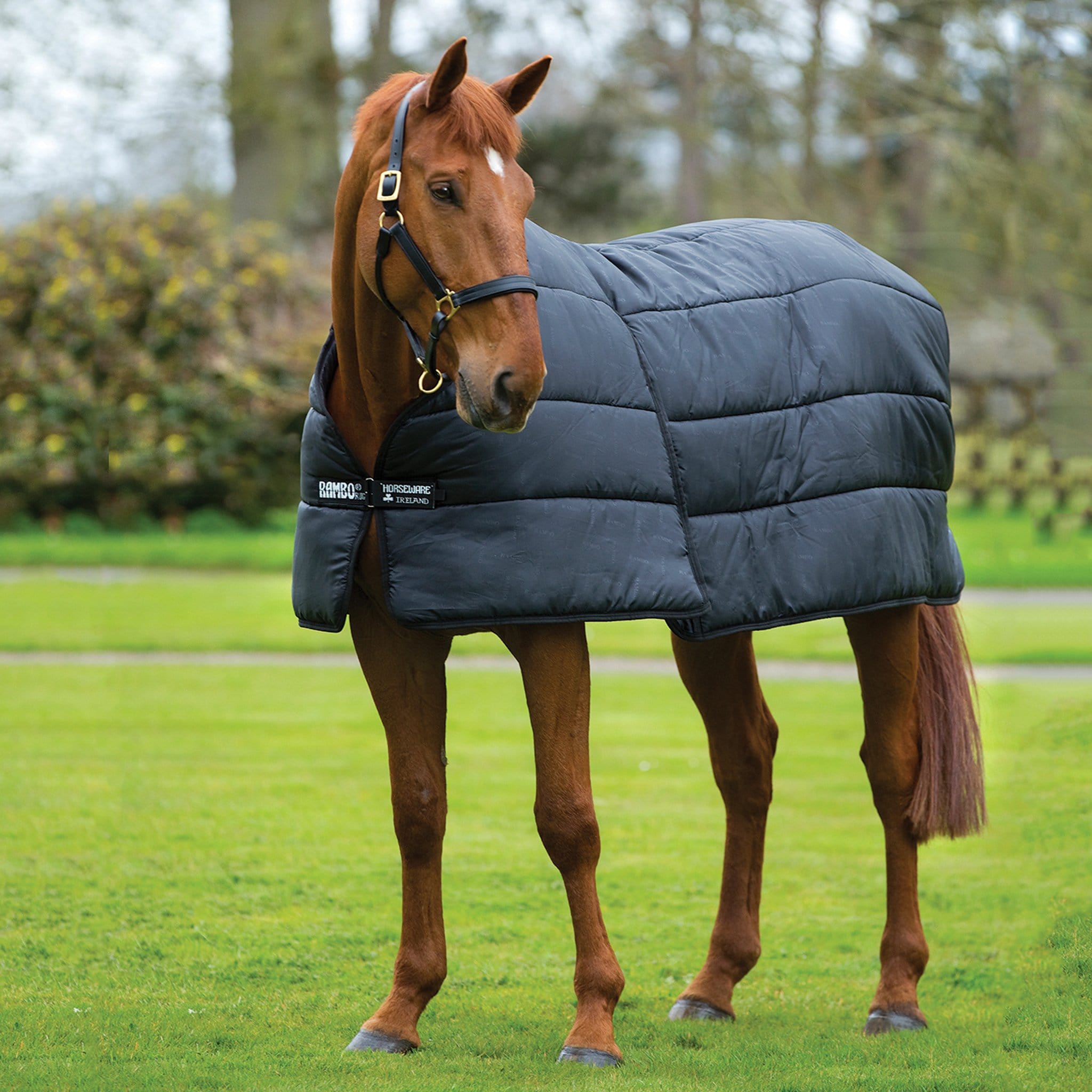 Horseware Optimo Liner Rug ABAF91