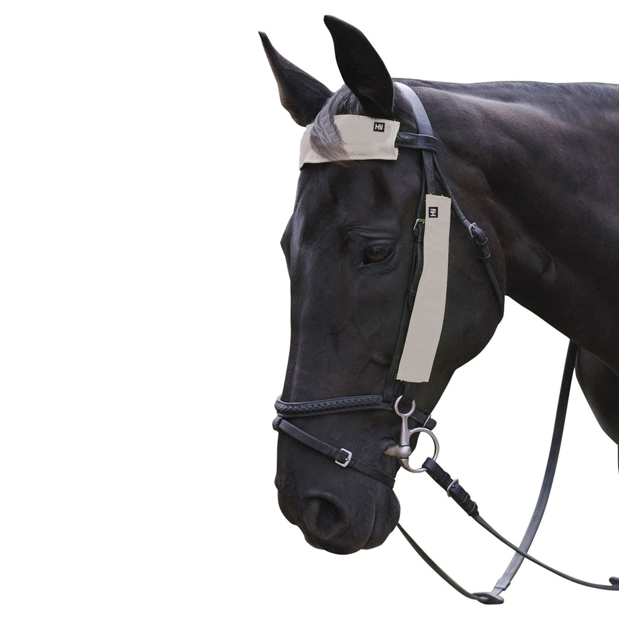 Hy Equestrian HyVIZ Flash Reflective Bridle Set Reflective Silver 24775