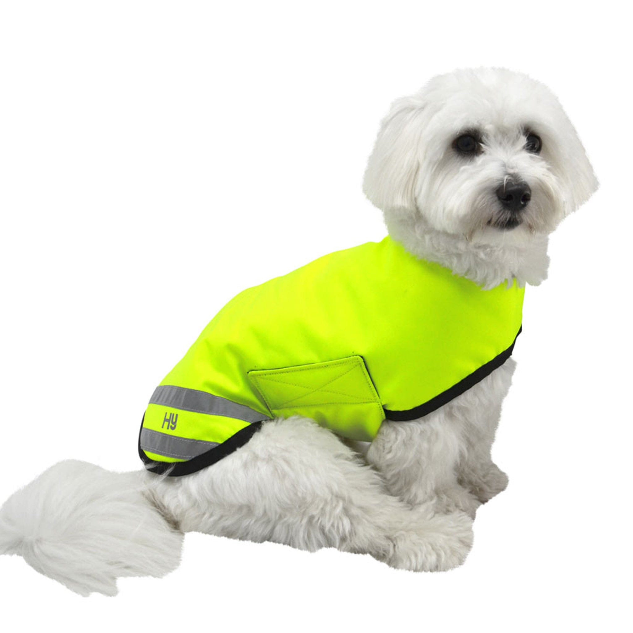 Hy Equestrian Hi-Viz Reflector Waterproof Dog Coat 22019 Yellow On Bichon Frise Sitting Side View