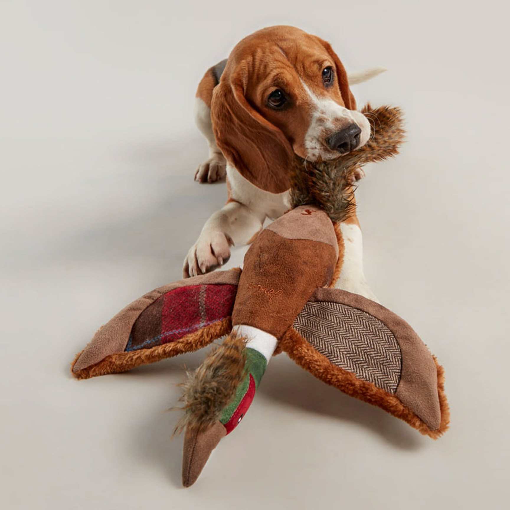 Joules Pheasant Dog Toy
