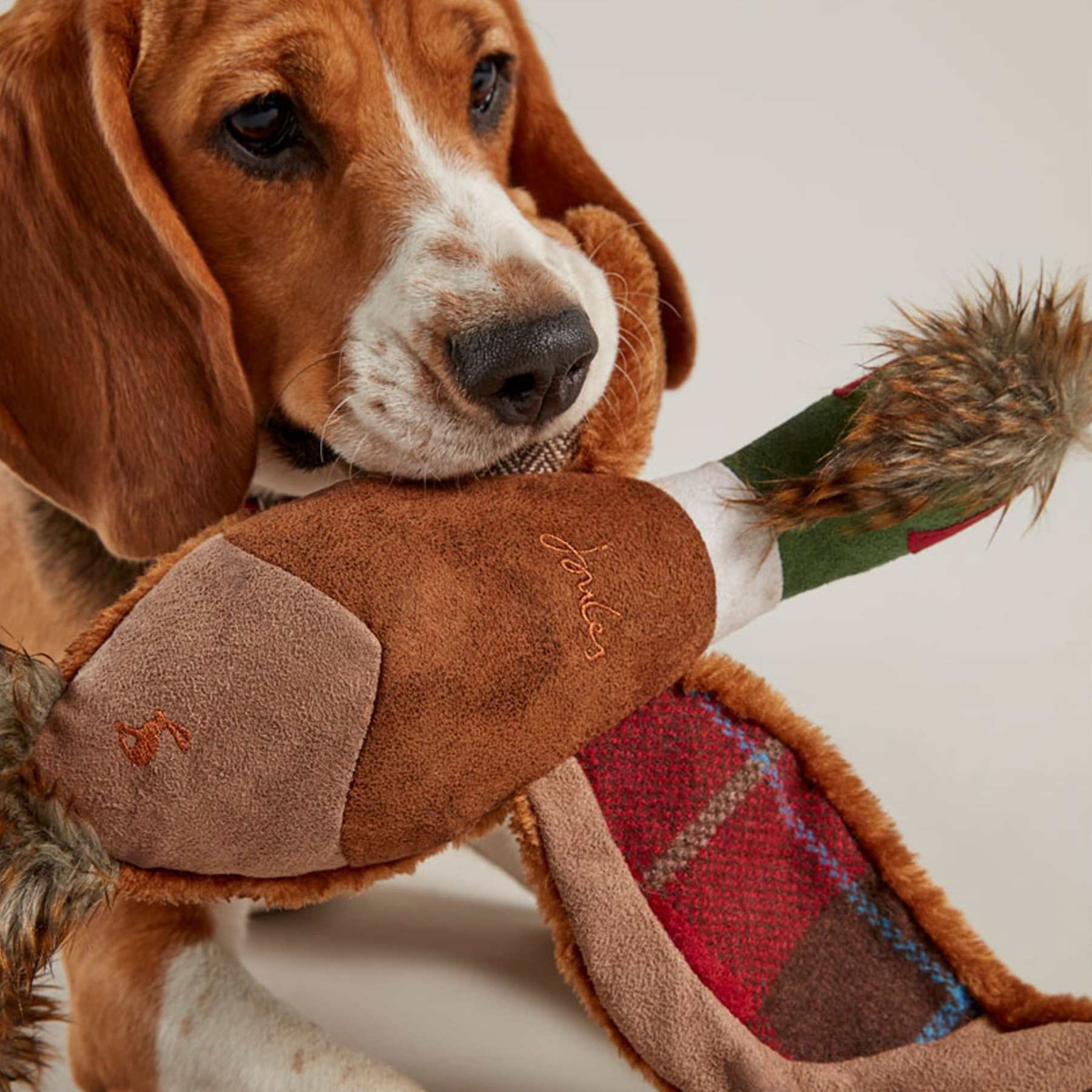 Joules Pheasant Dog Toy