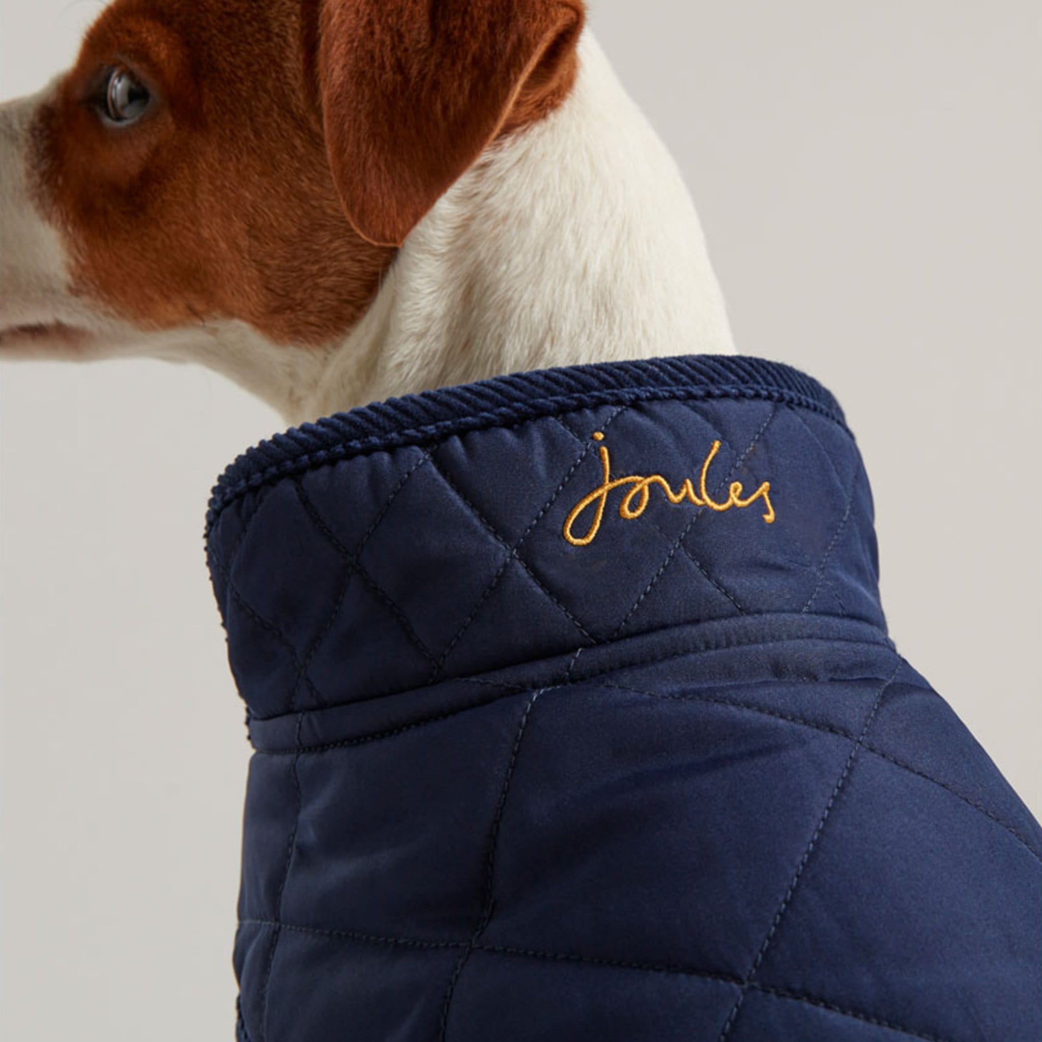 Joules Quilted Dog Coat