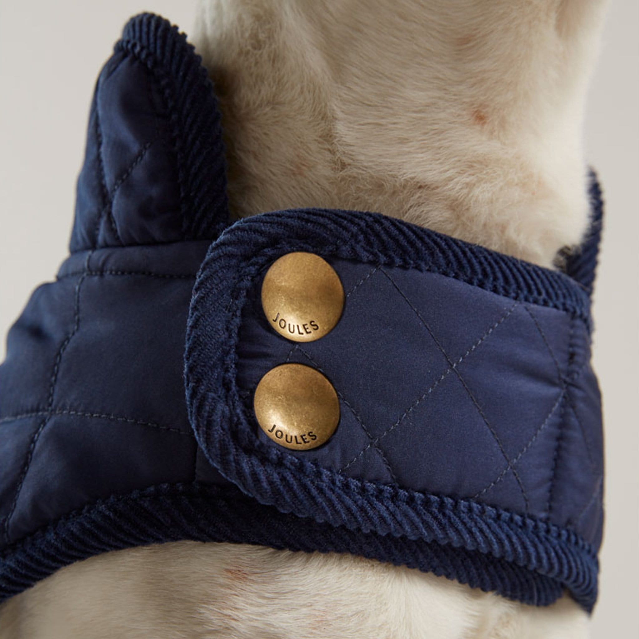 Joules Quilted Dog Coat