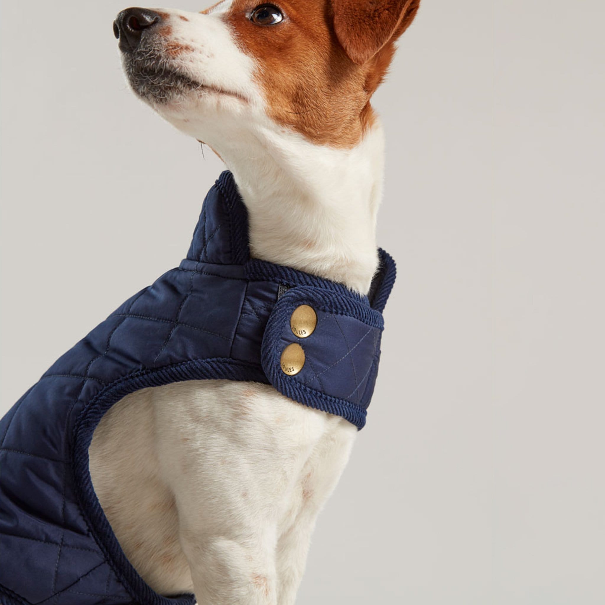 Joules Quilted Dog Coat