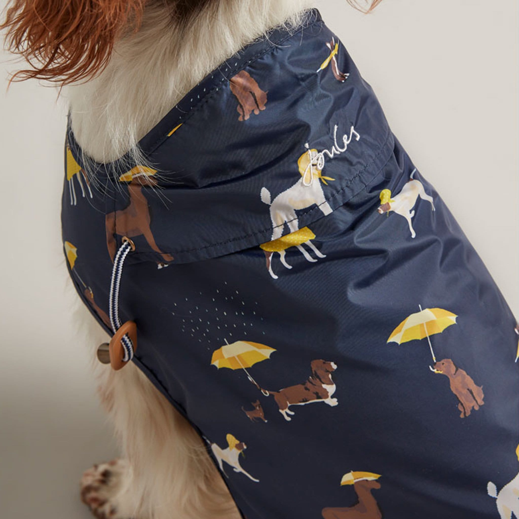 Joules dog outlet umbrella