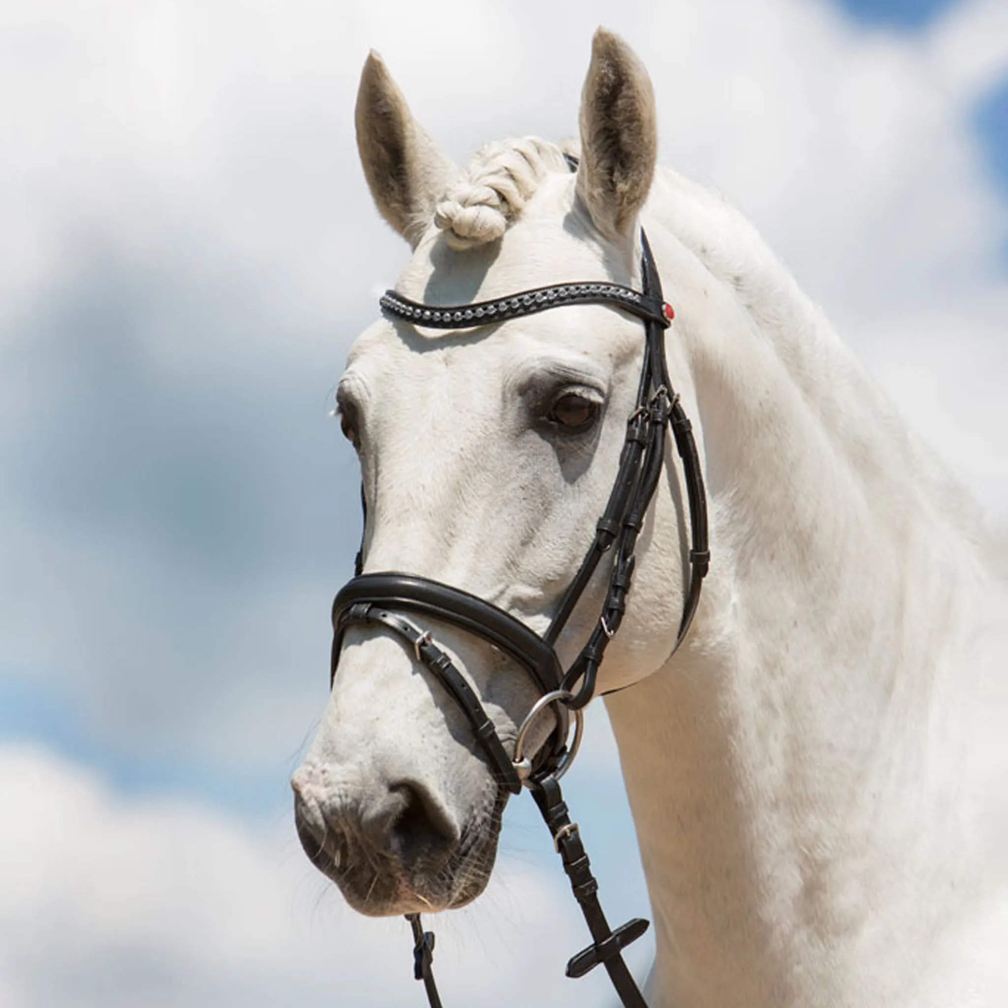 {"default":"Snaffle Bridles"}