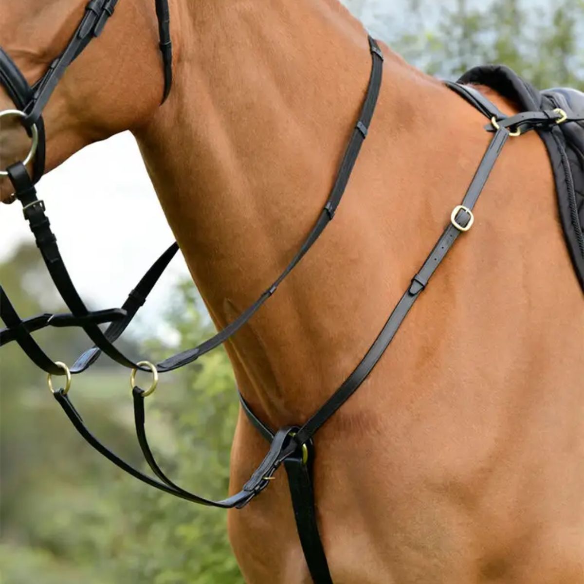 Kincade Classic 3 Point Breastplate with Running Martingale - Pony · Black