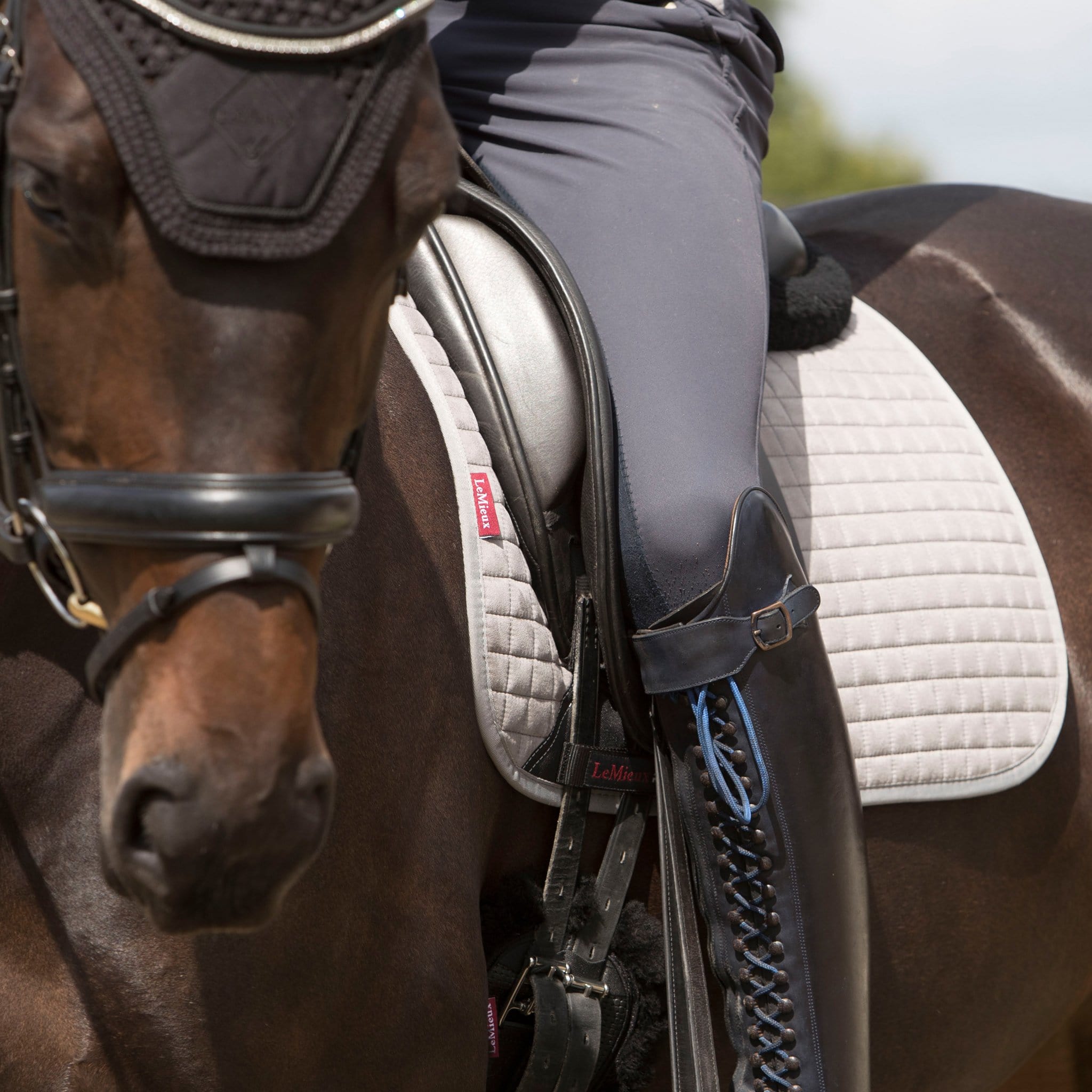 LeMieux ProSport Dressage Square Grey On Horse Close Up 9379