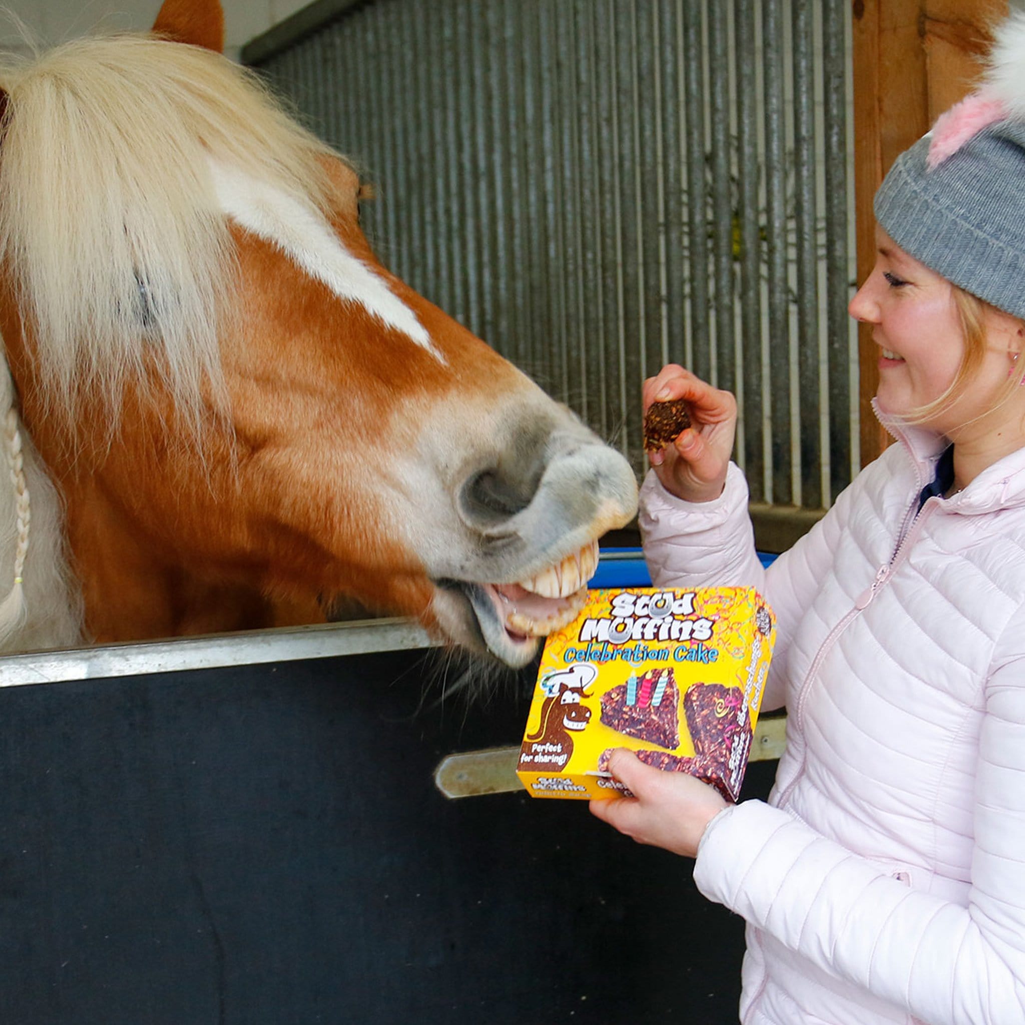 Likit Stud Muffins Celebration Cake