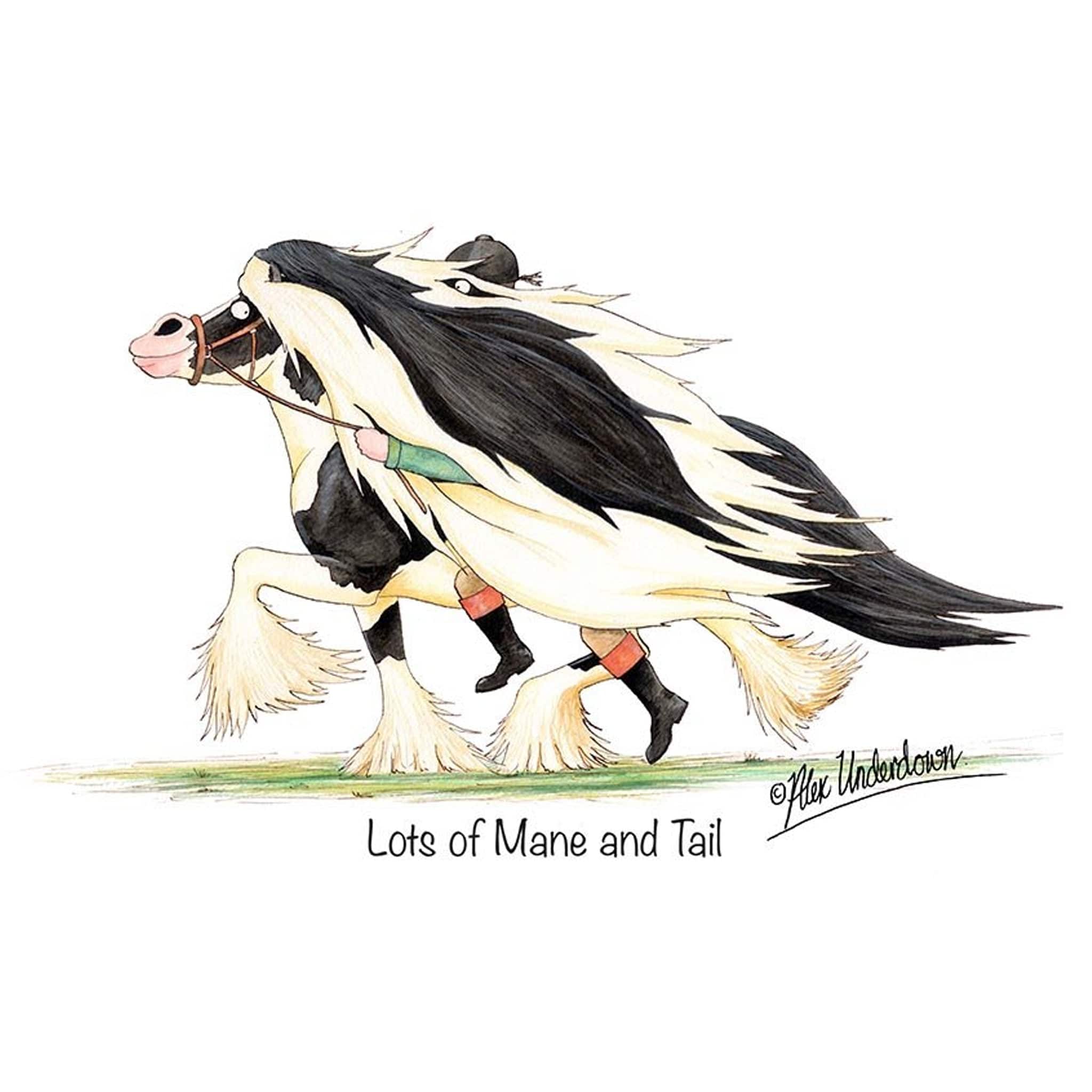 Lots of Mane and Tail Greeting Card ALUNMANEGC01