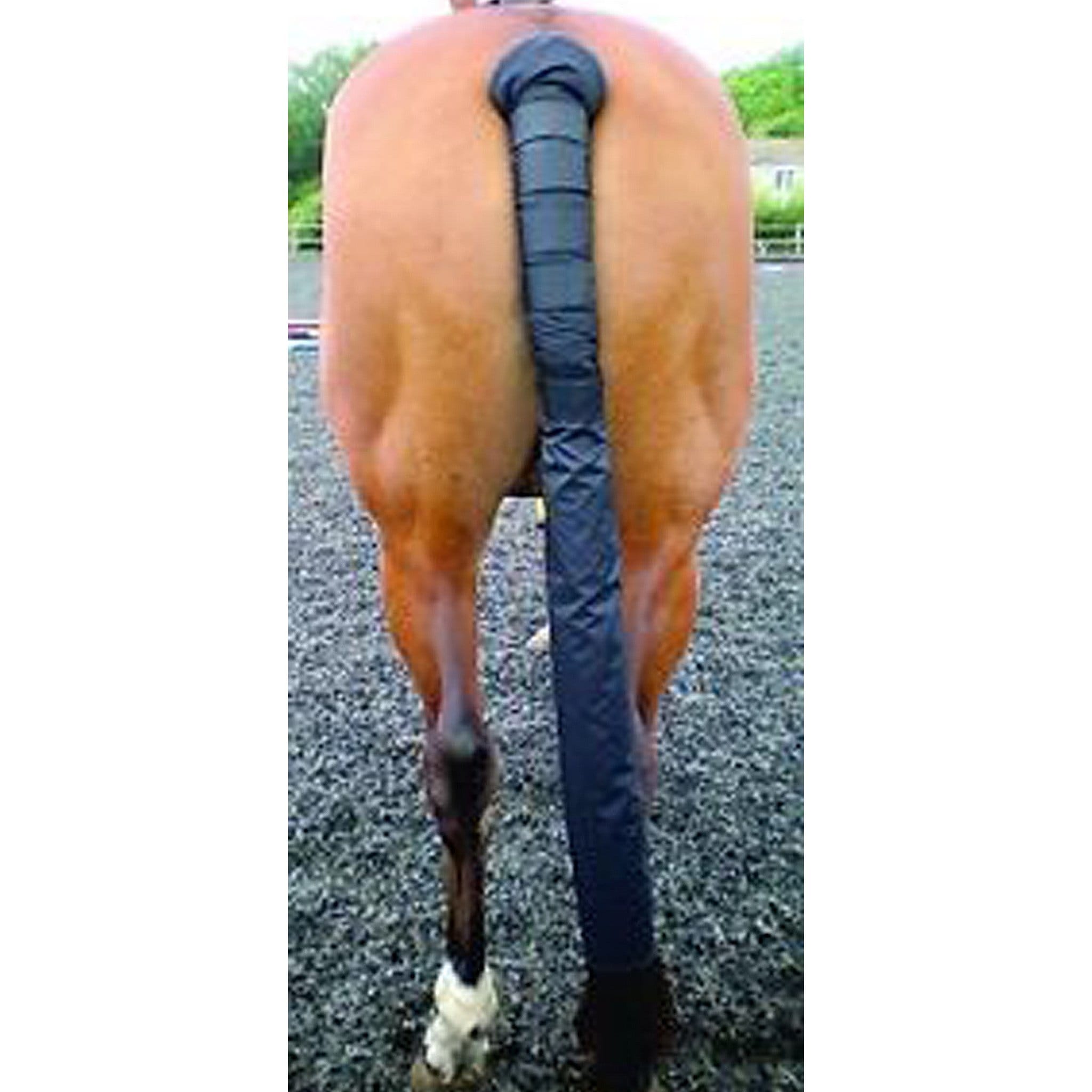 Mark Todd Tail Guard with Bag in Navy