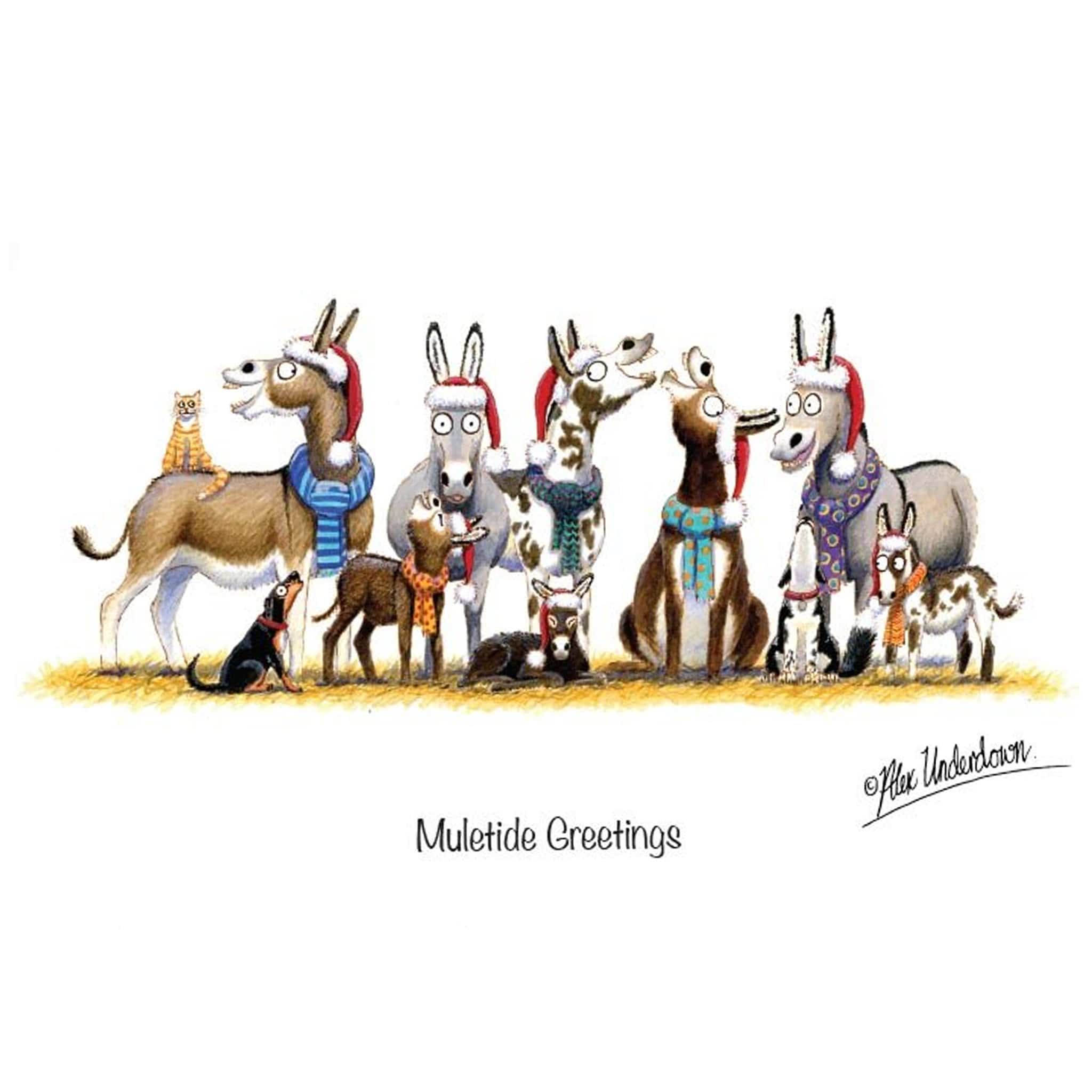 Muletide Greetings Donkey Christmas Card ALUNXMAS006