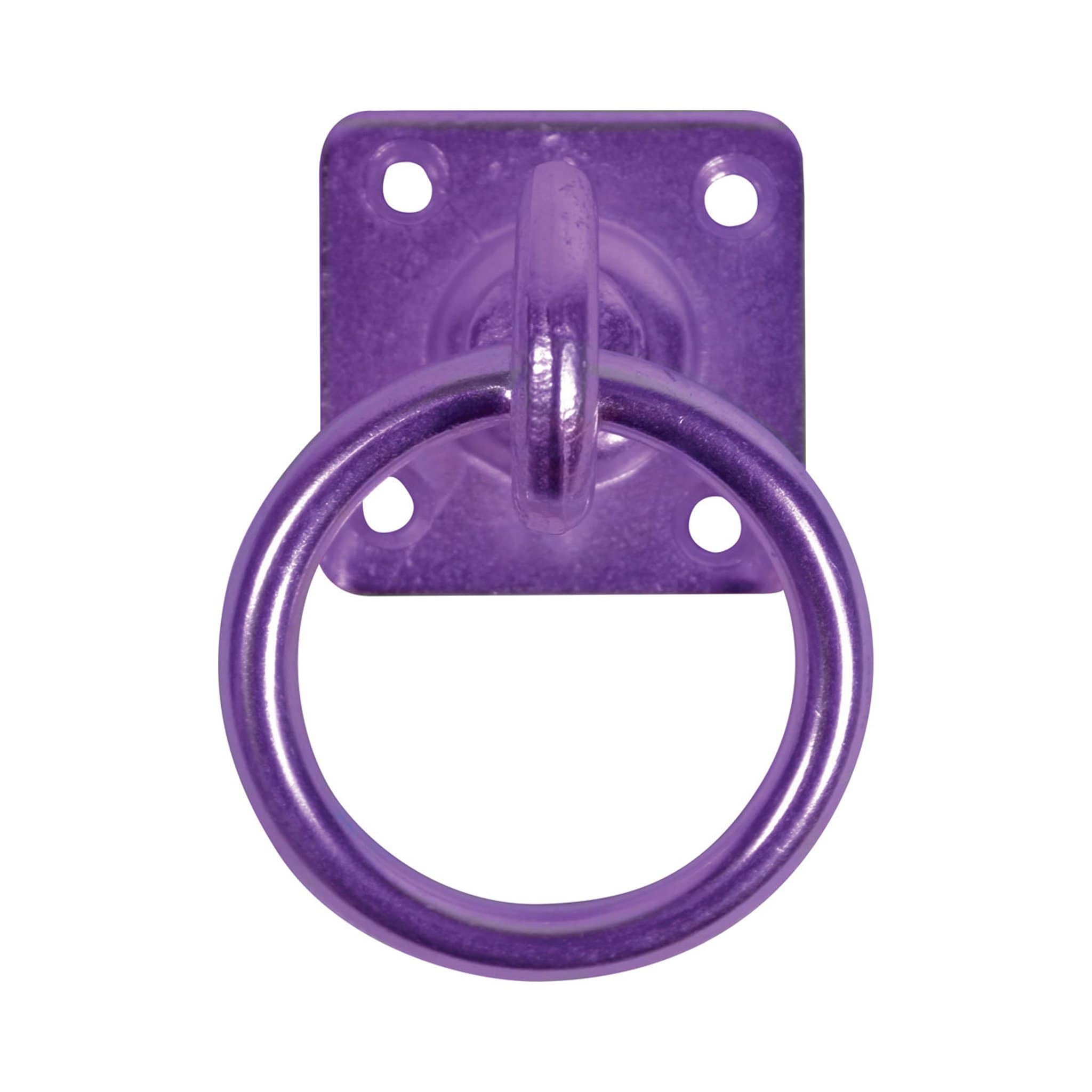 Perry Equestrian Swivel Tie Ring on Plate - Purple