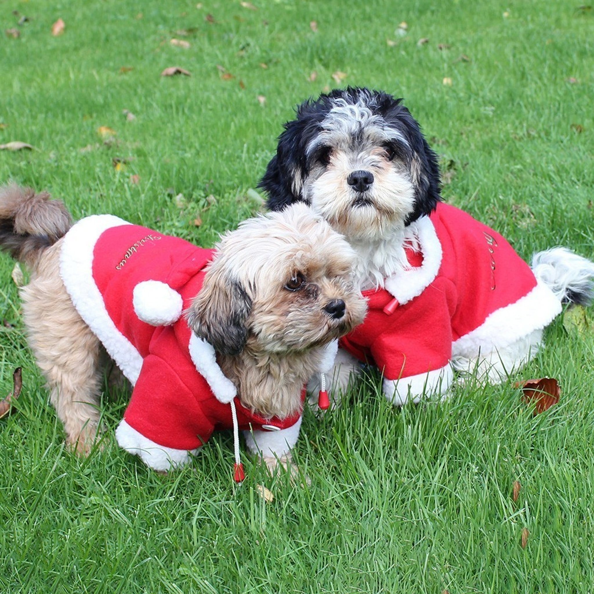 QHP Christmas Dog Coat