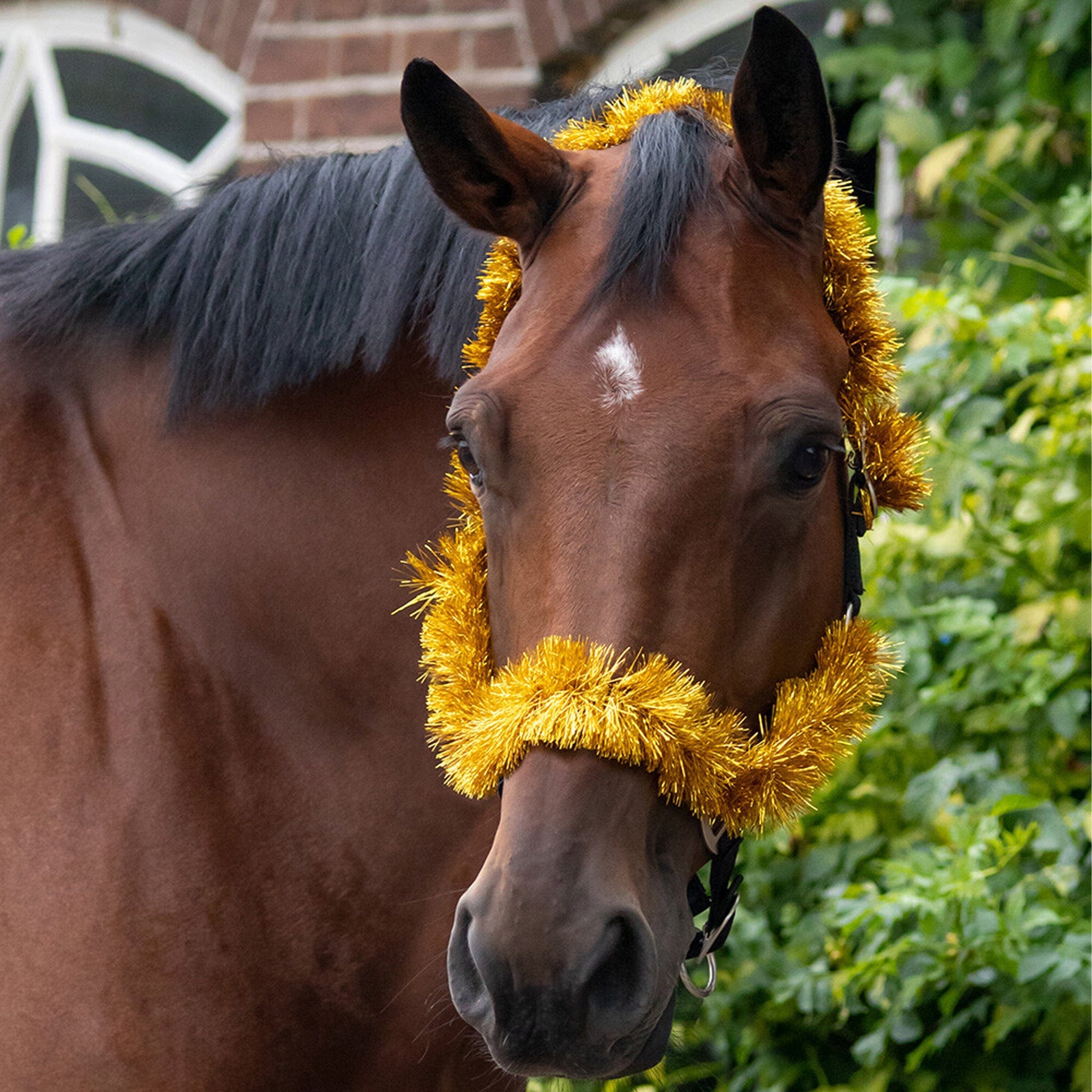QHP Christmas Garland Headcollar