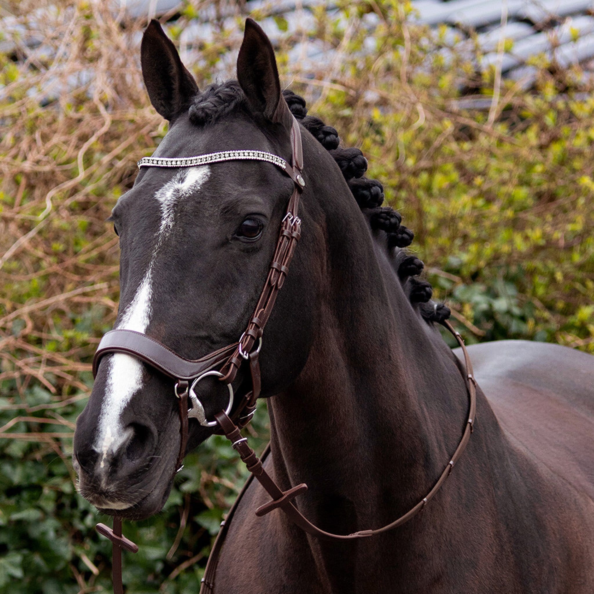 Qhp Eris Anatomical Bridle - Full · Brown