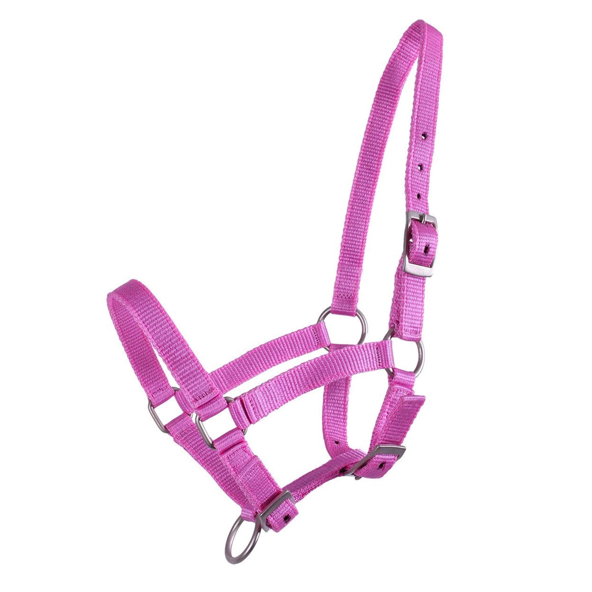 Qhp Foal Headcollar - Pony Foal · Pink