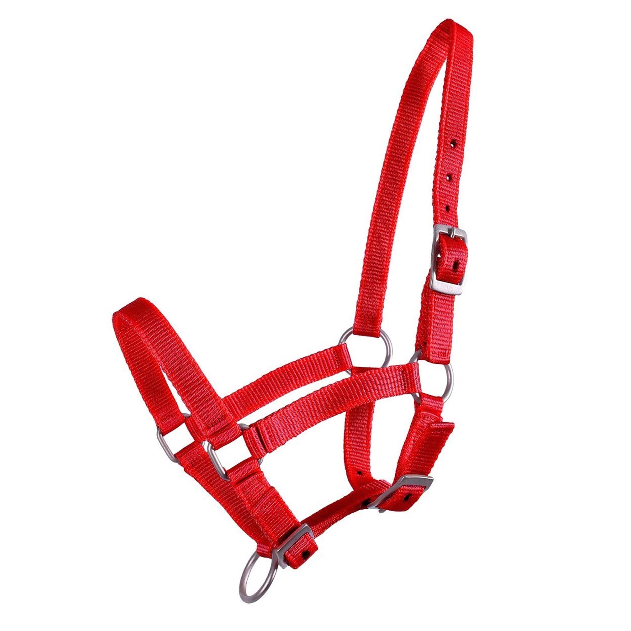 Qhp Foal Headcollar - Pony Foal · Red