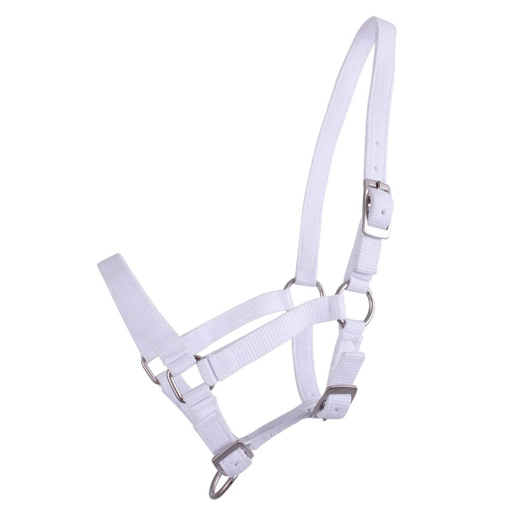 Qhp Foal Headcollar - Pony Foal · White